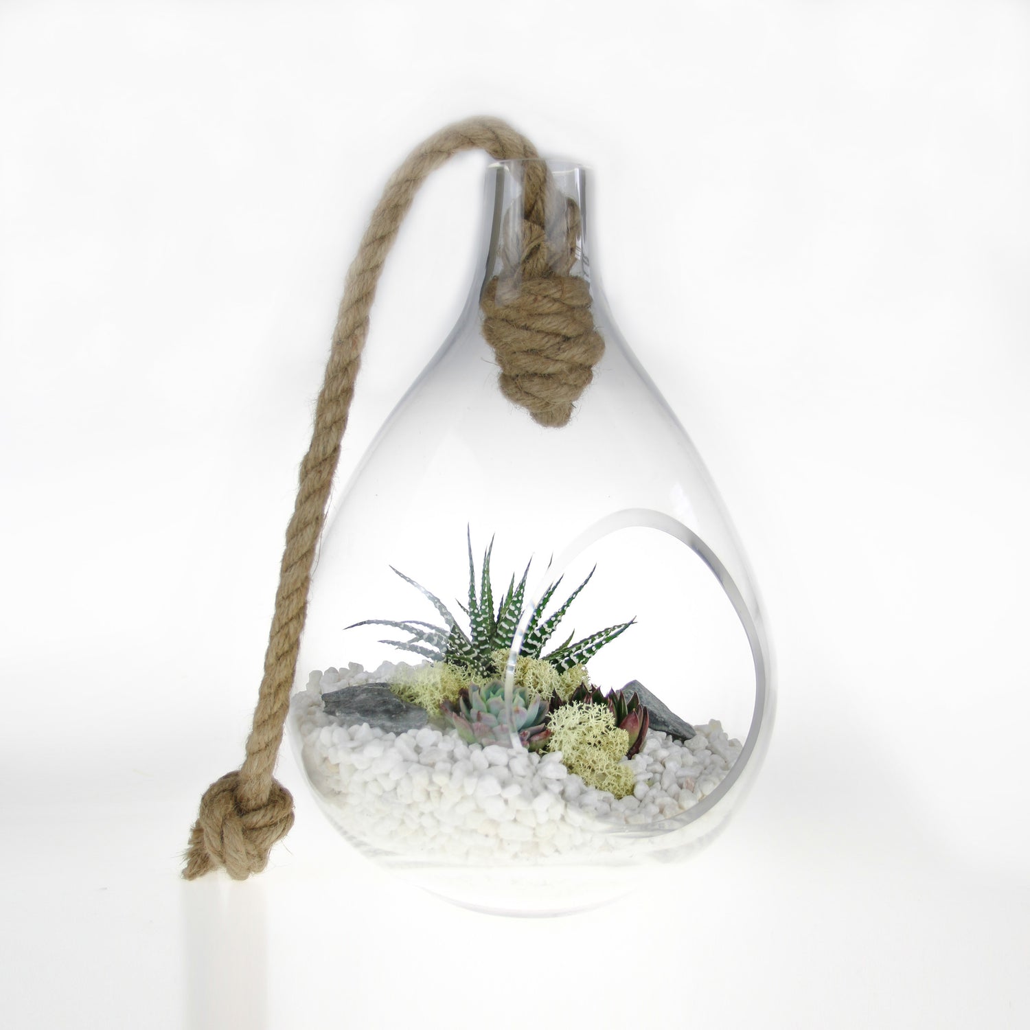 UK shop for Terrariums