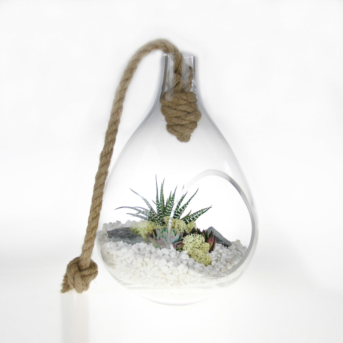 UK shop for Terrariums
