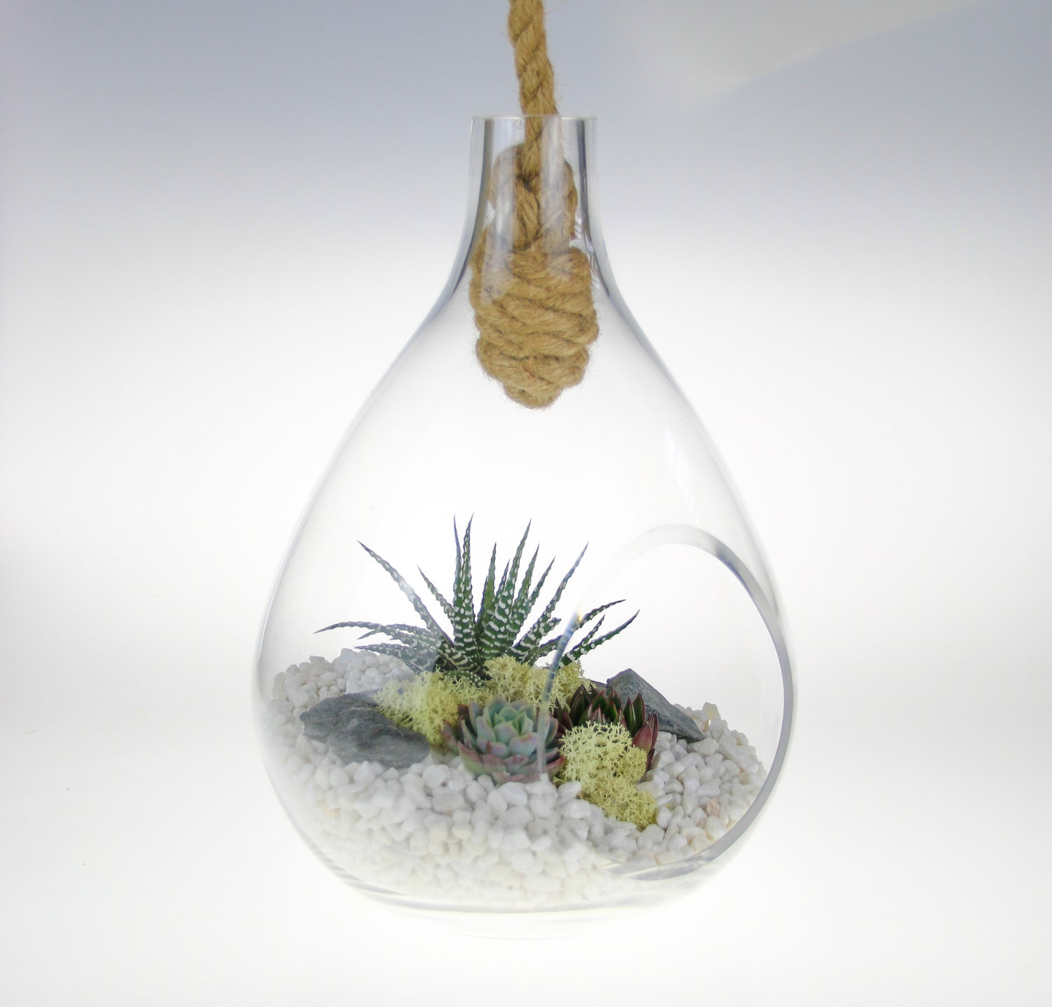Hanging Glass Terrarium
