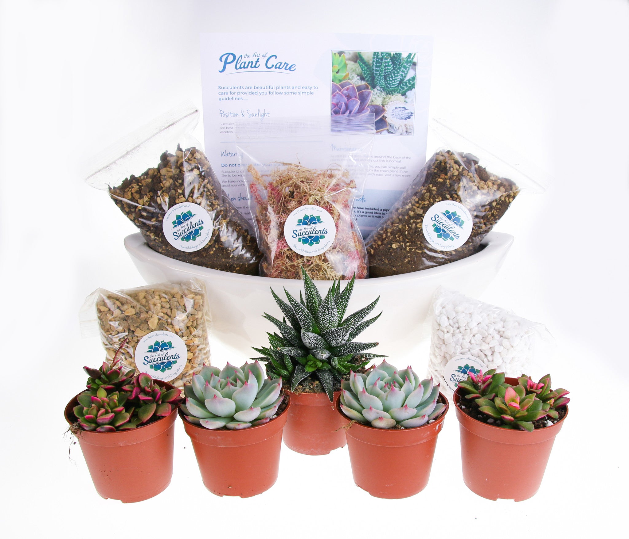 home decor gift ideas with plants