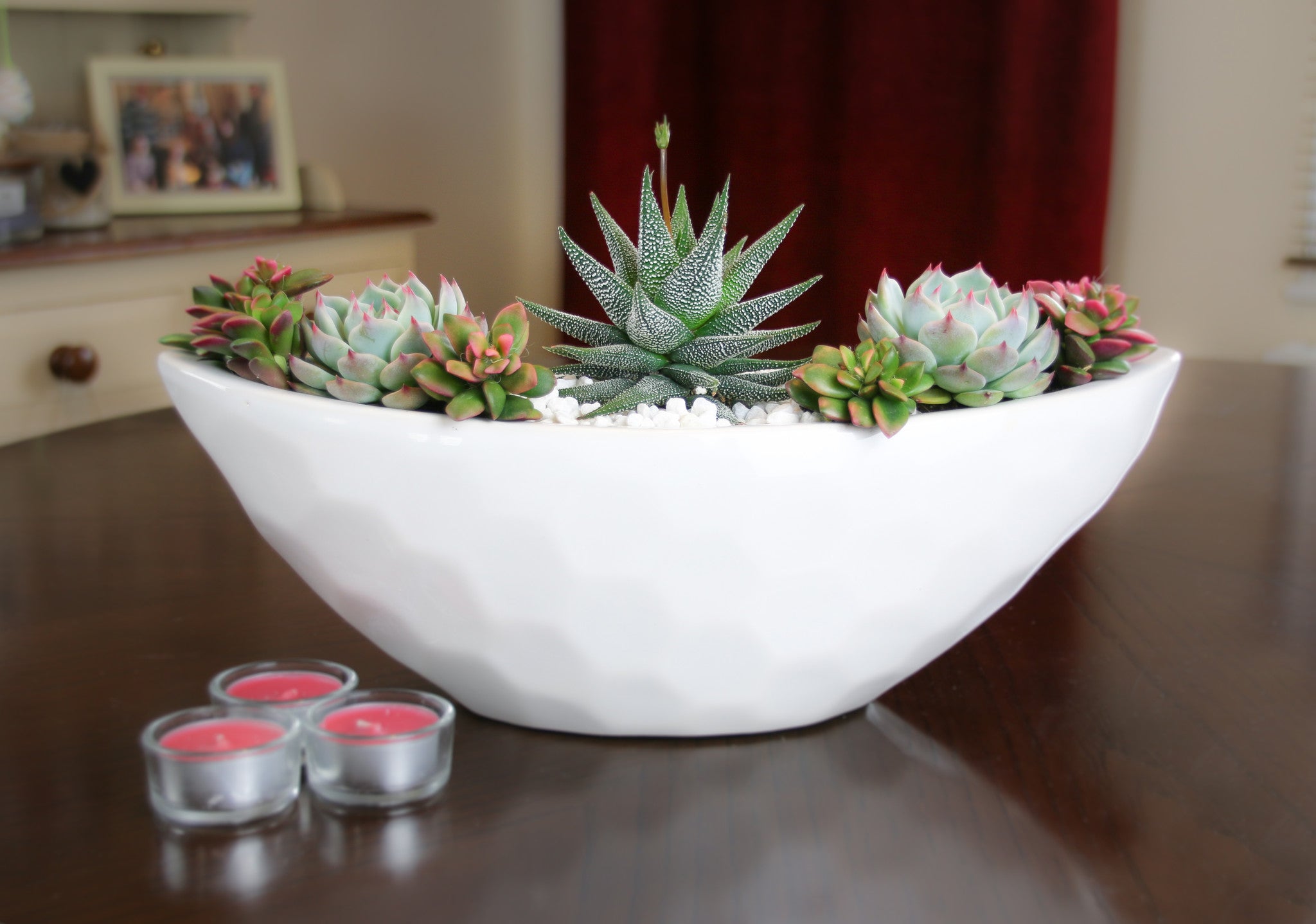 succulent pant arrangement