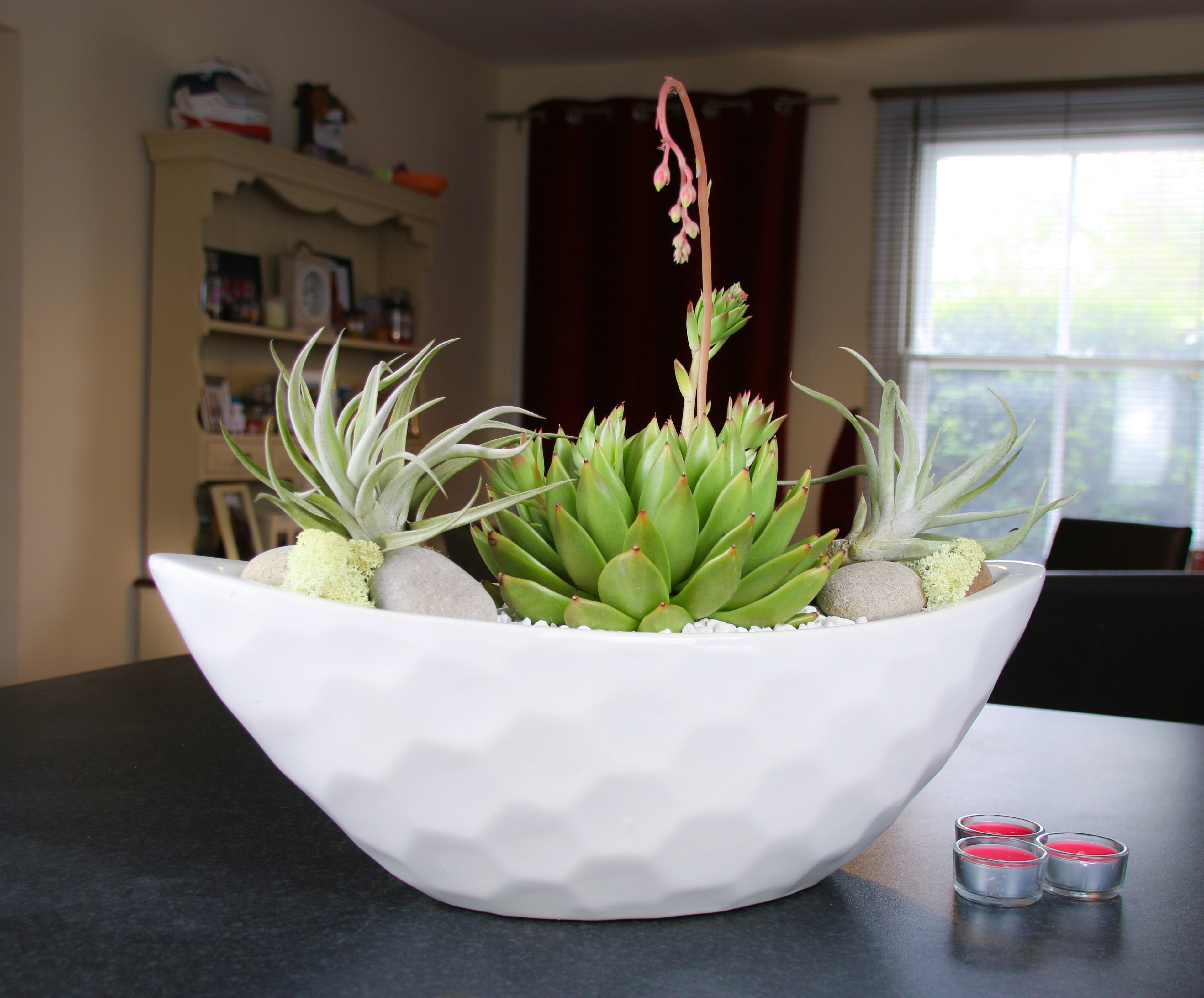 Large Indoor Planter