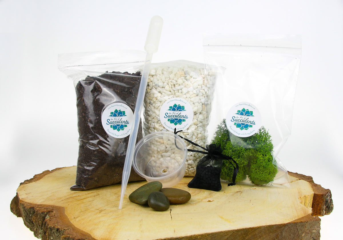 Contents to fill a terrarium