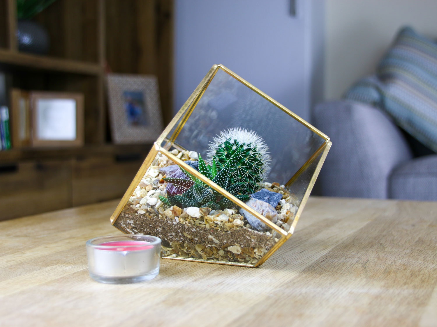 Christmas gifts with real plants