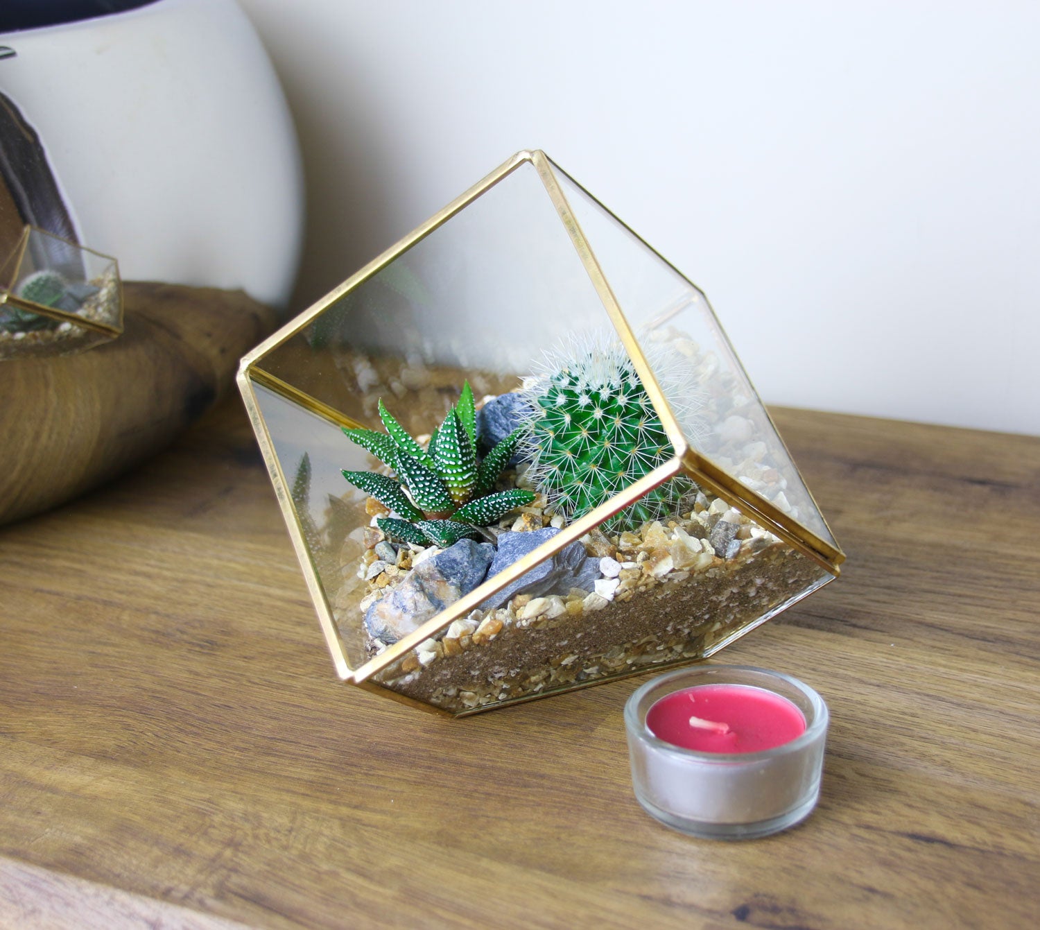 Cactus succulent cube terrarium