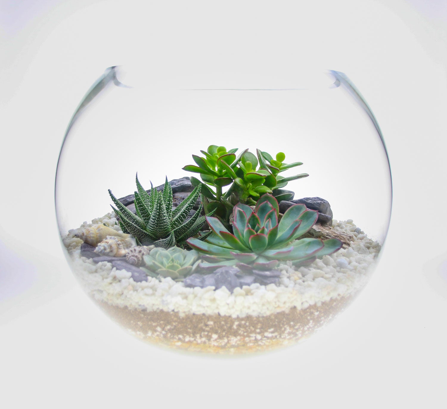Home accessory terrarium kit