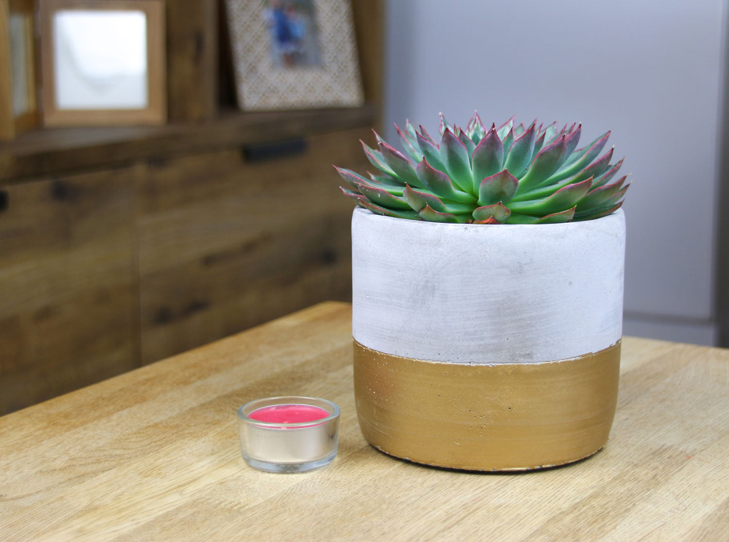 Sass and Belle planter