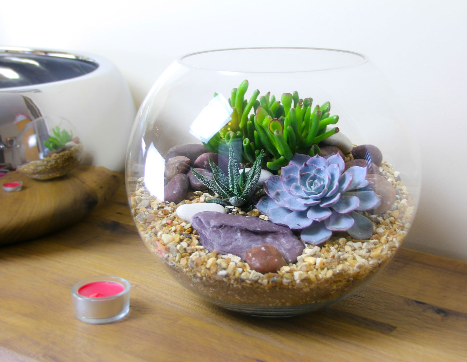 DIY terrarium kit