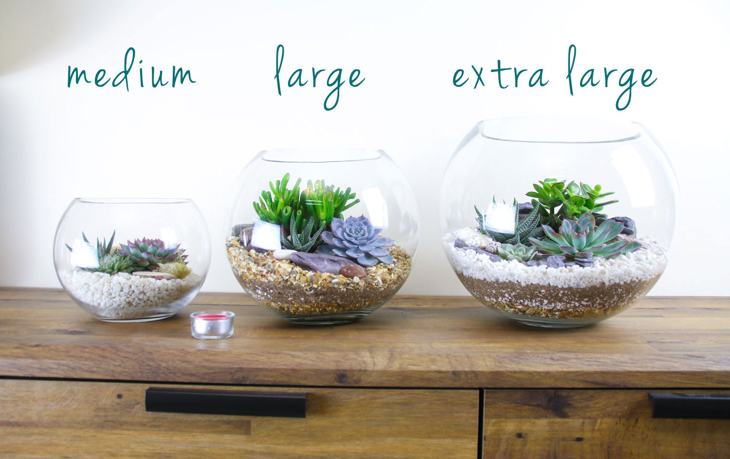 set of 3 different sized terrariums