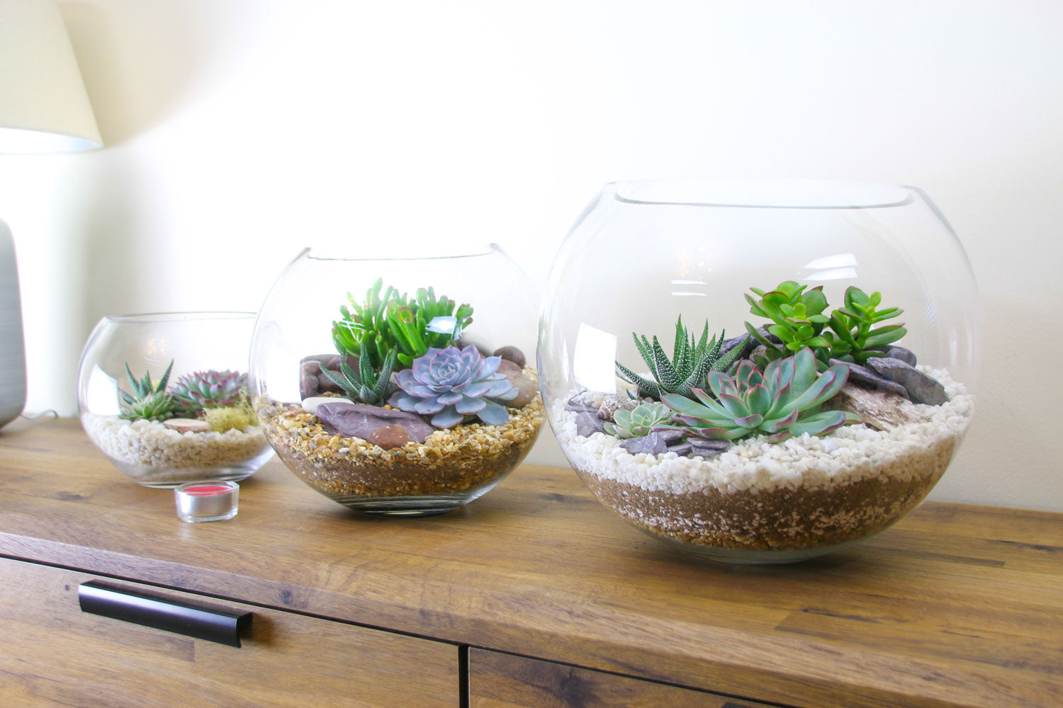 Terrarium globes set of 3