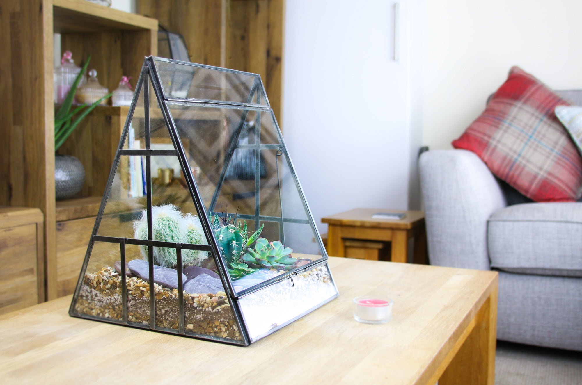 Terrarium with cacti and succulents