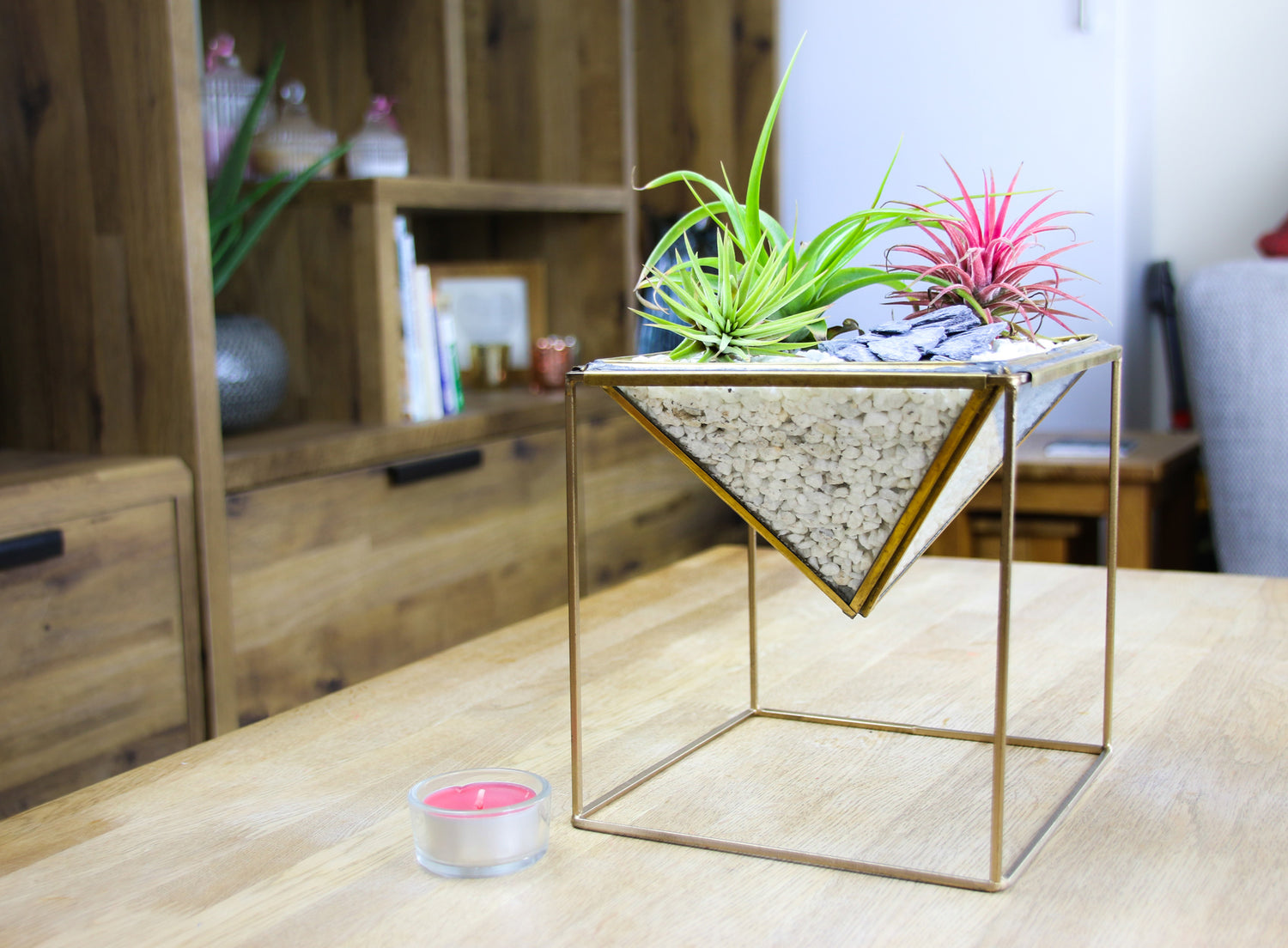 air plant brass geometric terrarium