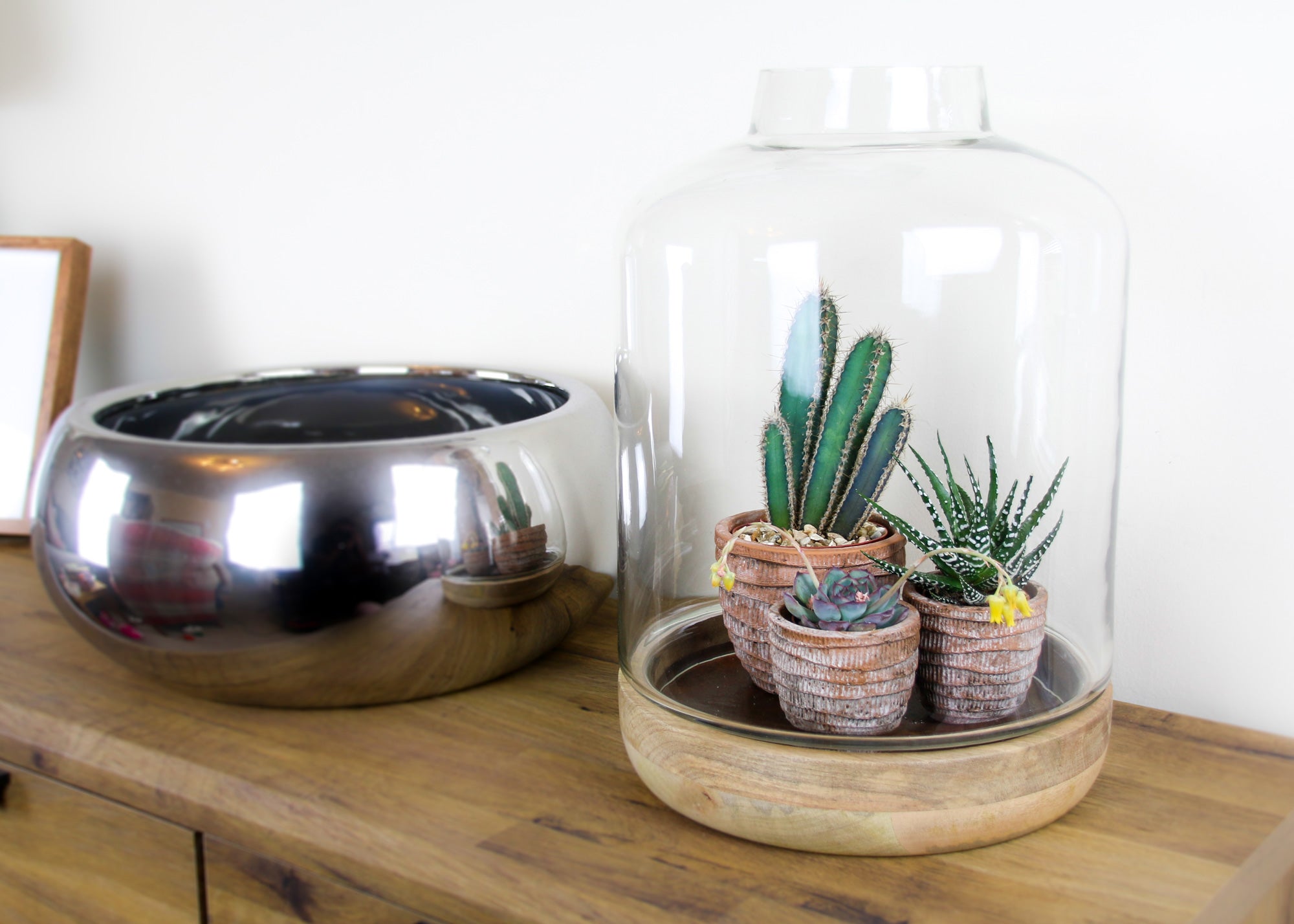 Terrarium with plants