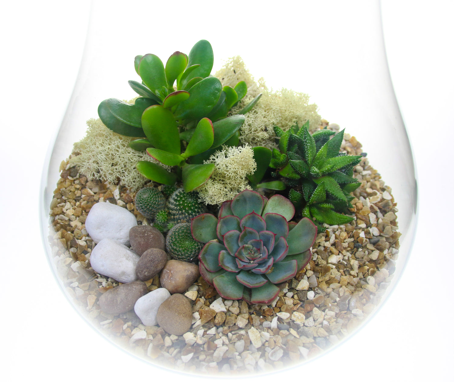How to build a terrarium