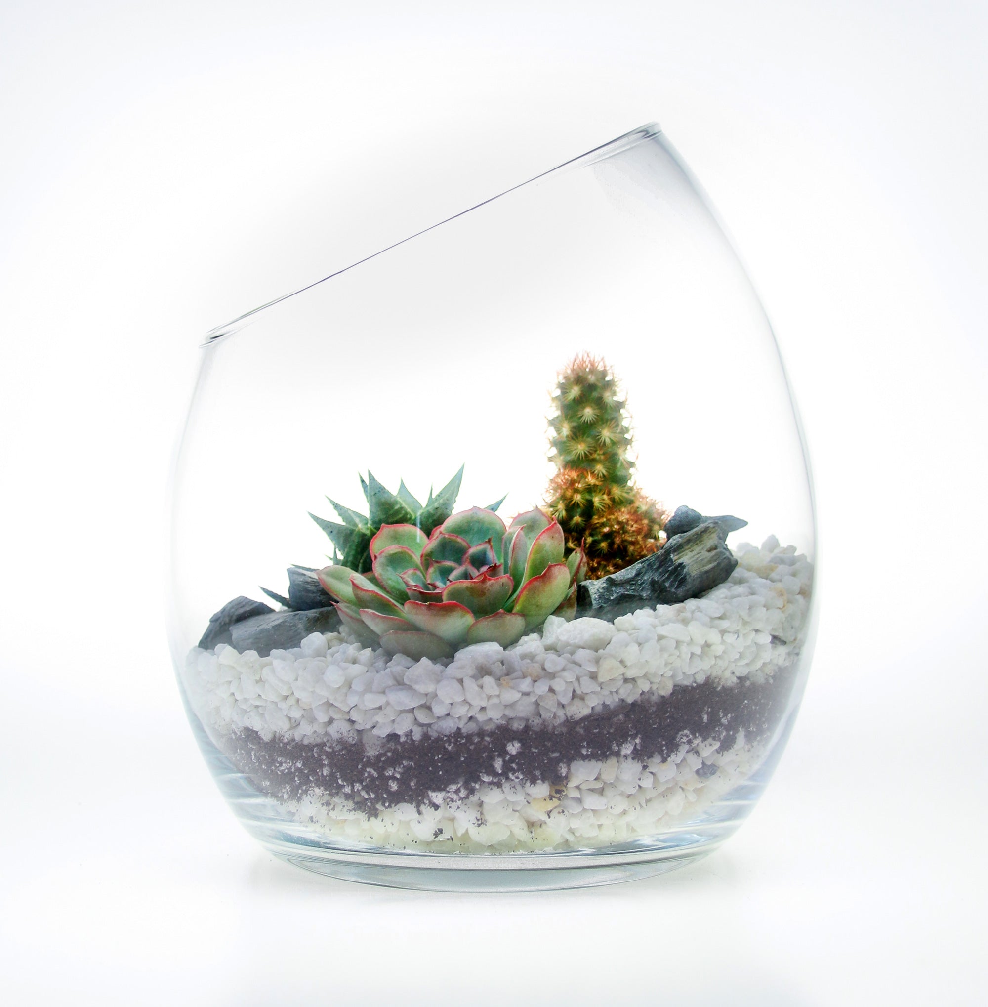Terrarium gift ideas in the UK