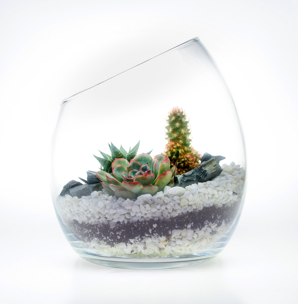 Terrarium gift ideas in the UK