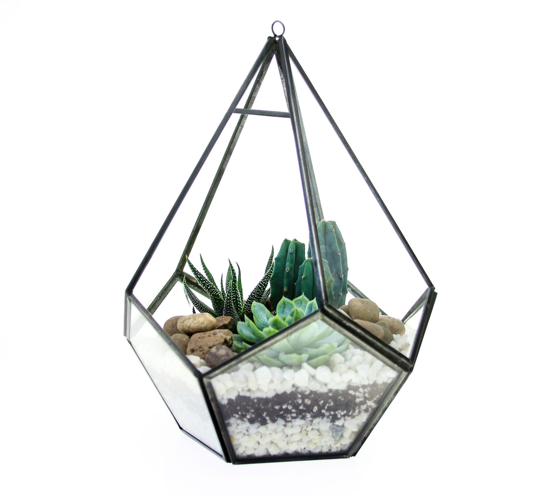 diamond glass and metal terrarium