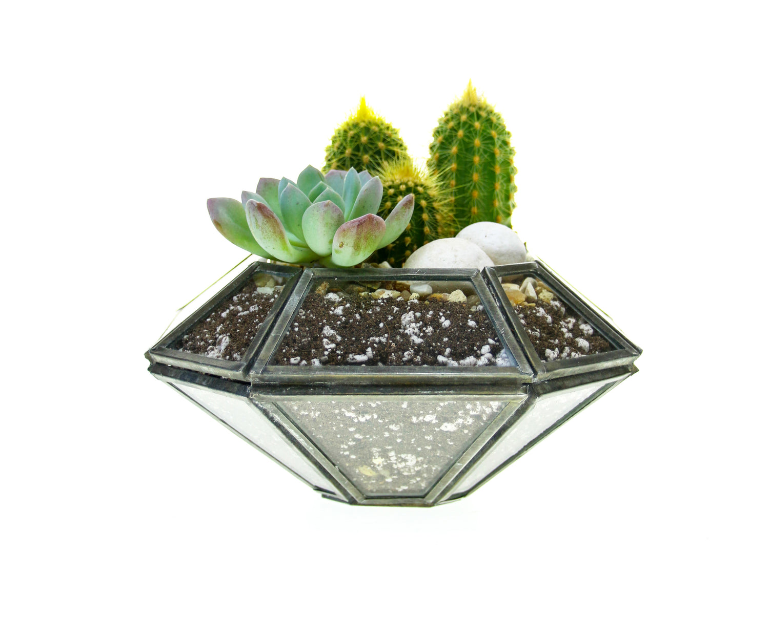 Cactus and Succulant square planter