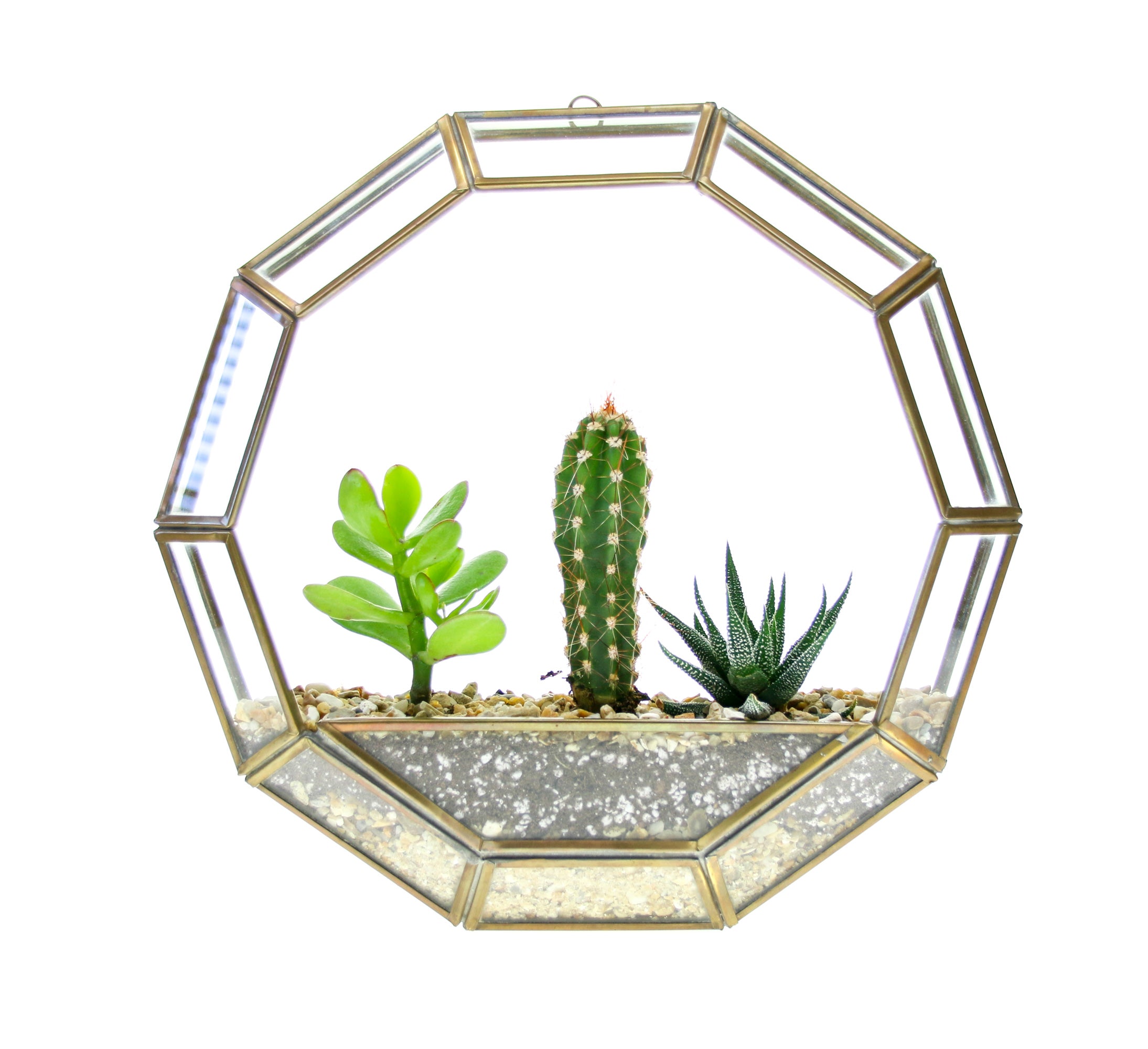 circular wall hanging planter with living plants