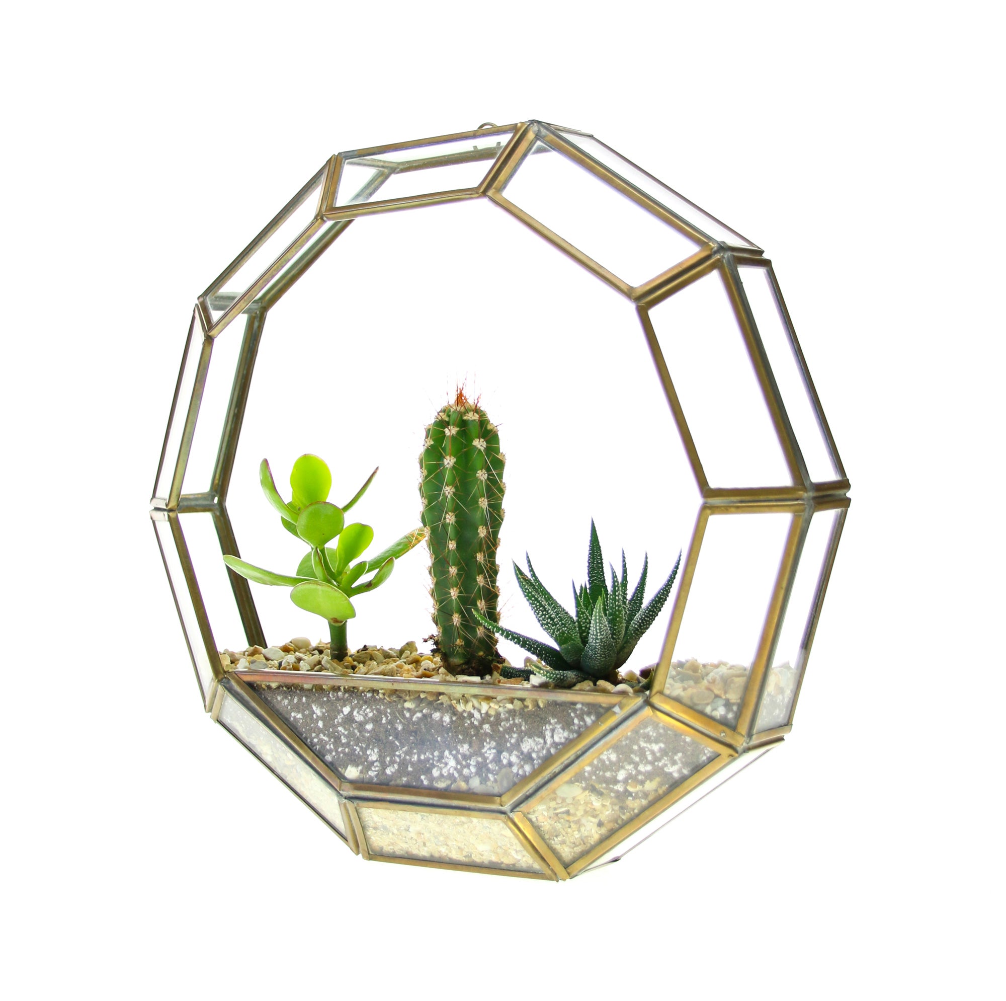 Wall hanging circular panter