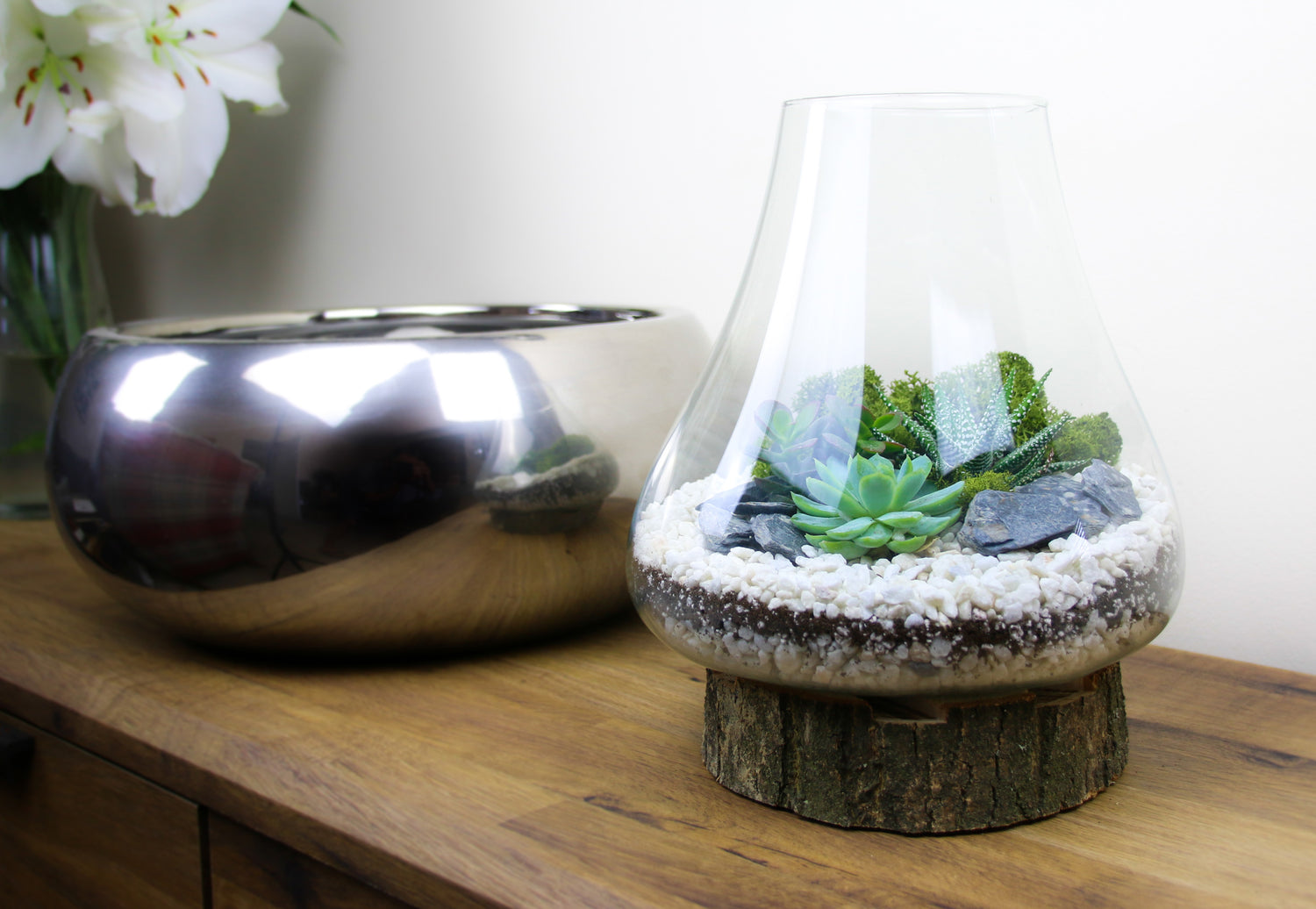 Succulent indoor plant arrangement