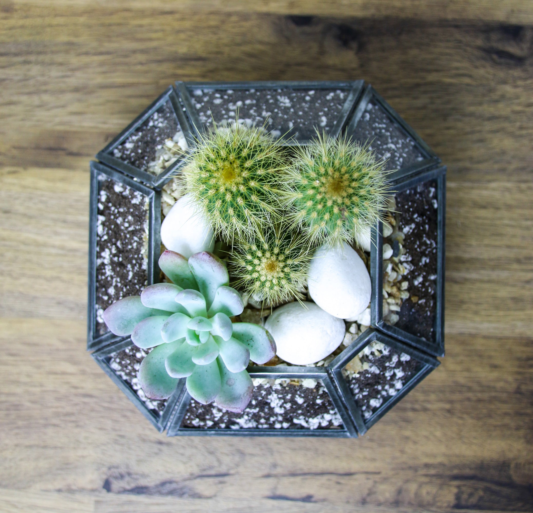 glass and metal planter - handmade
