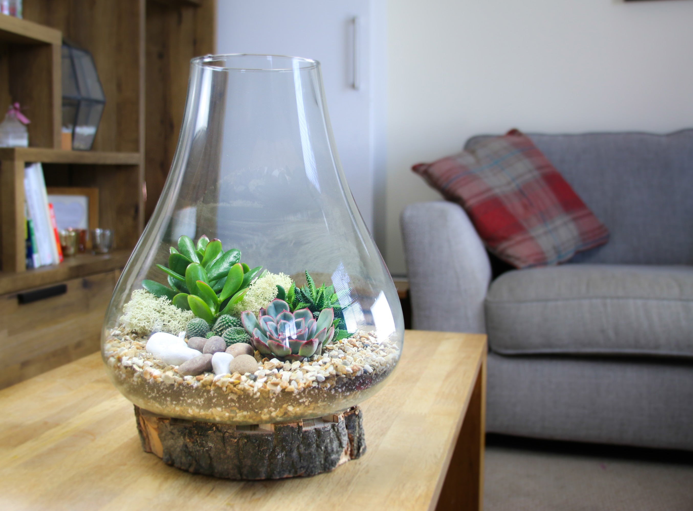 Teardrop shaped terrarium
