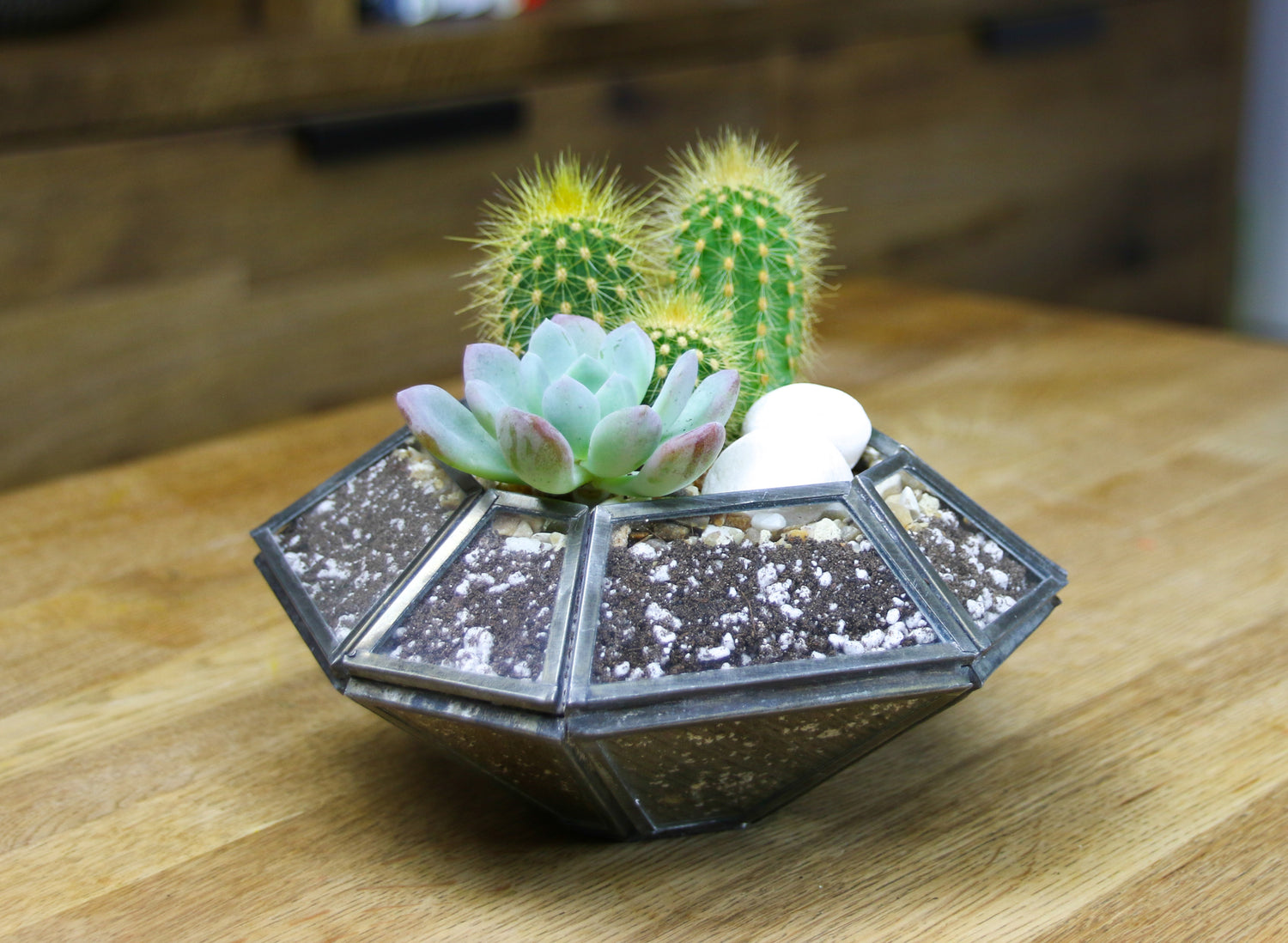 Planter kit for indoor plants