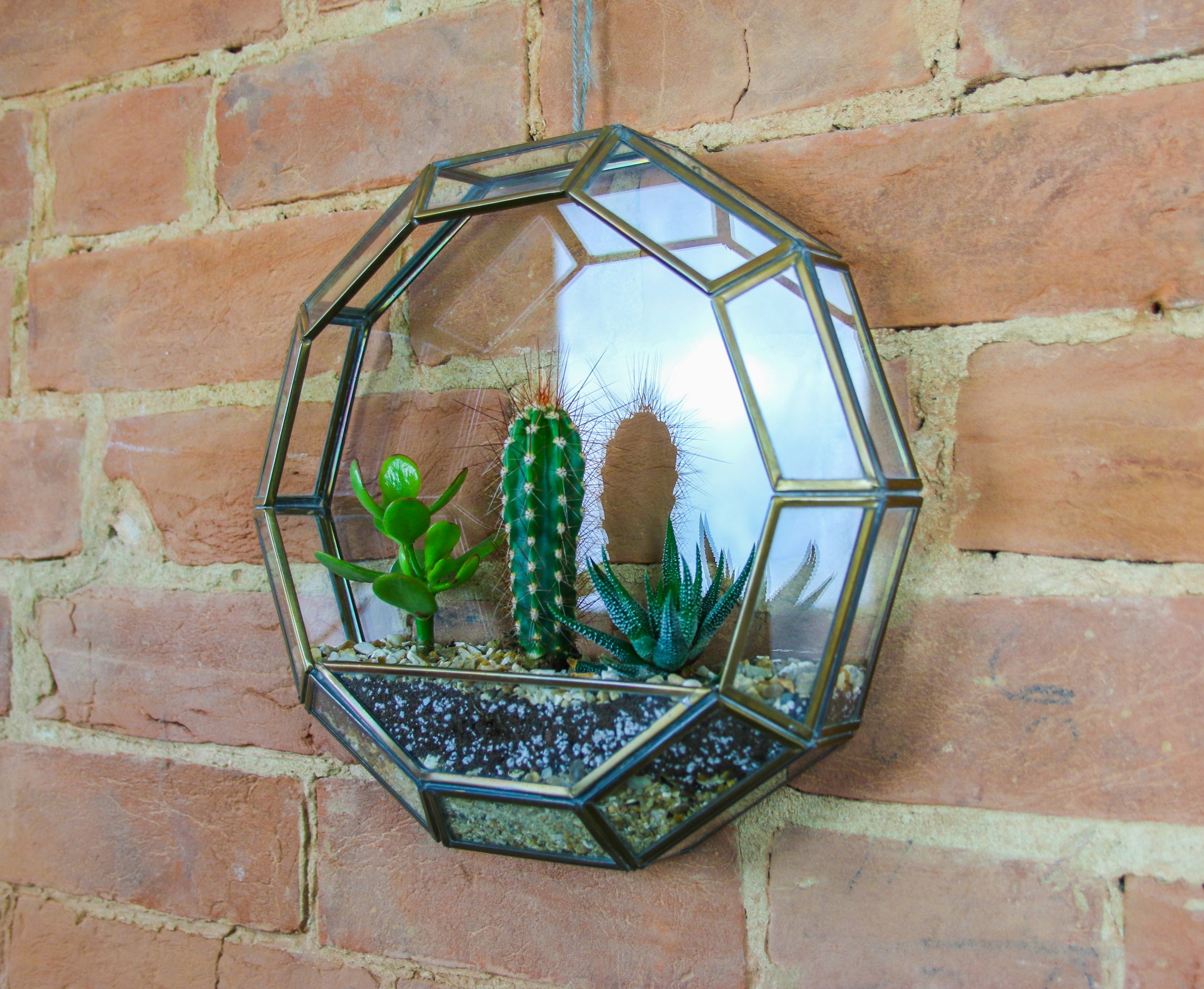 Terrarium planter kit to buy online