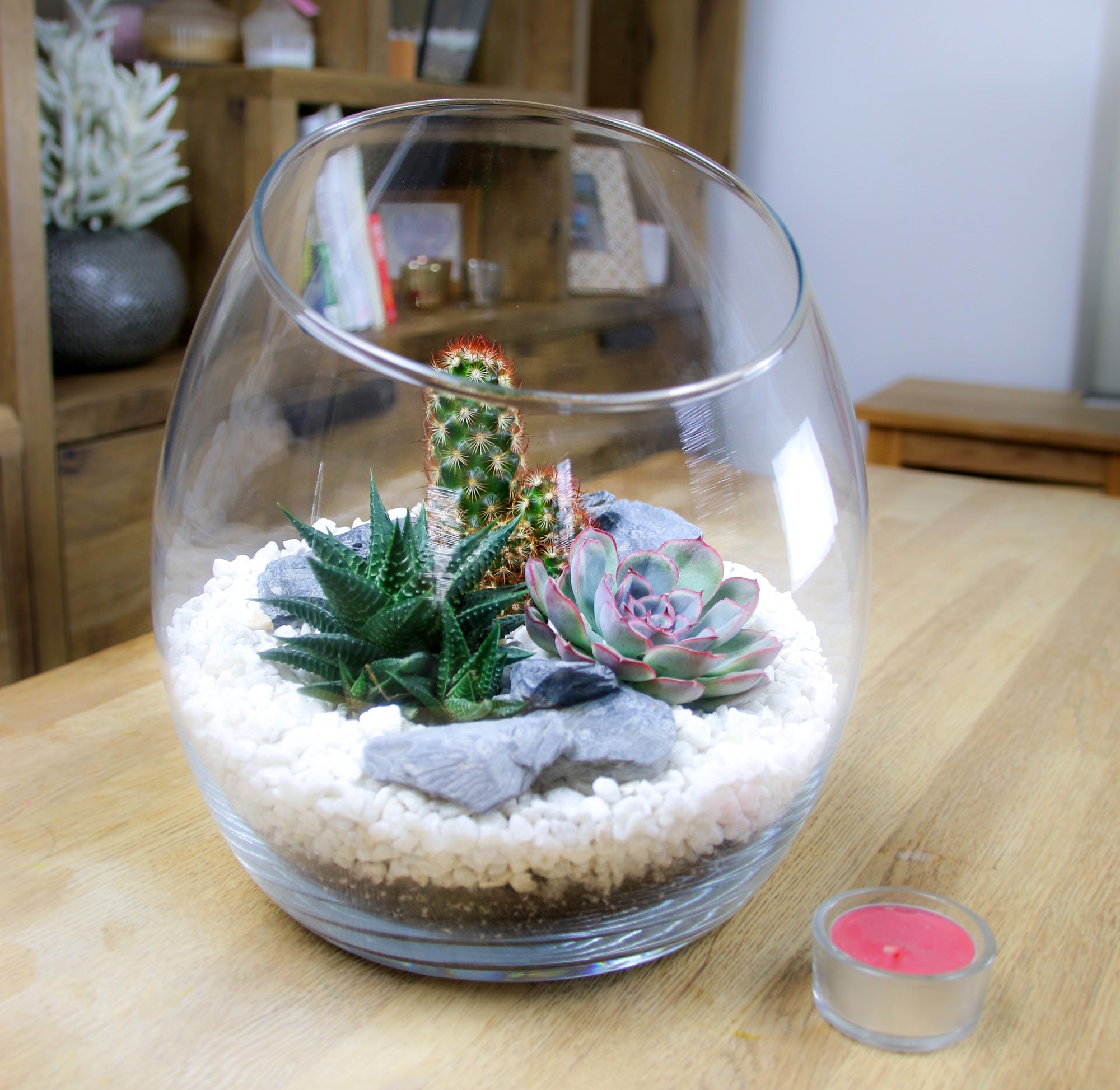 Angled bowl terrarium