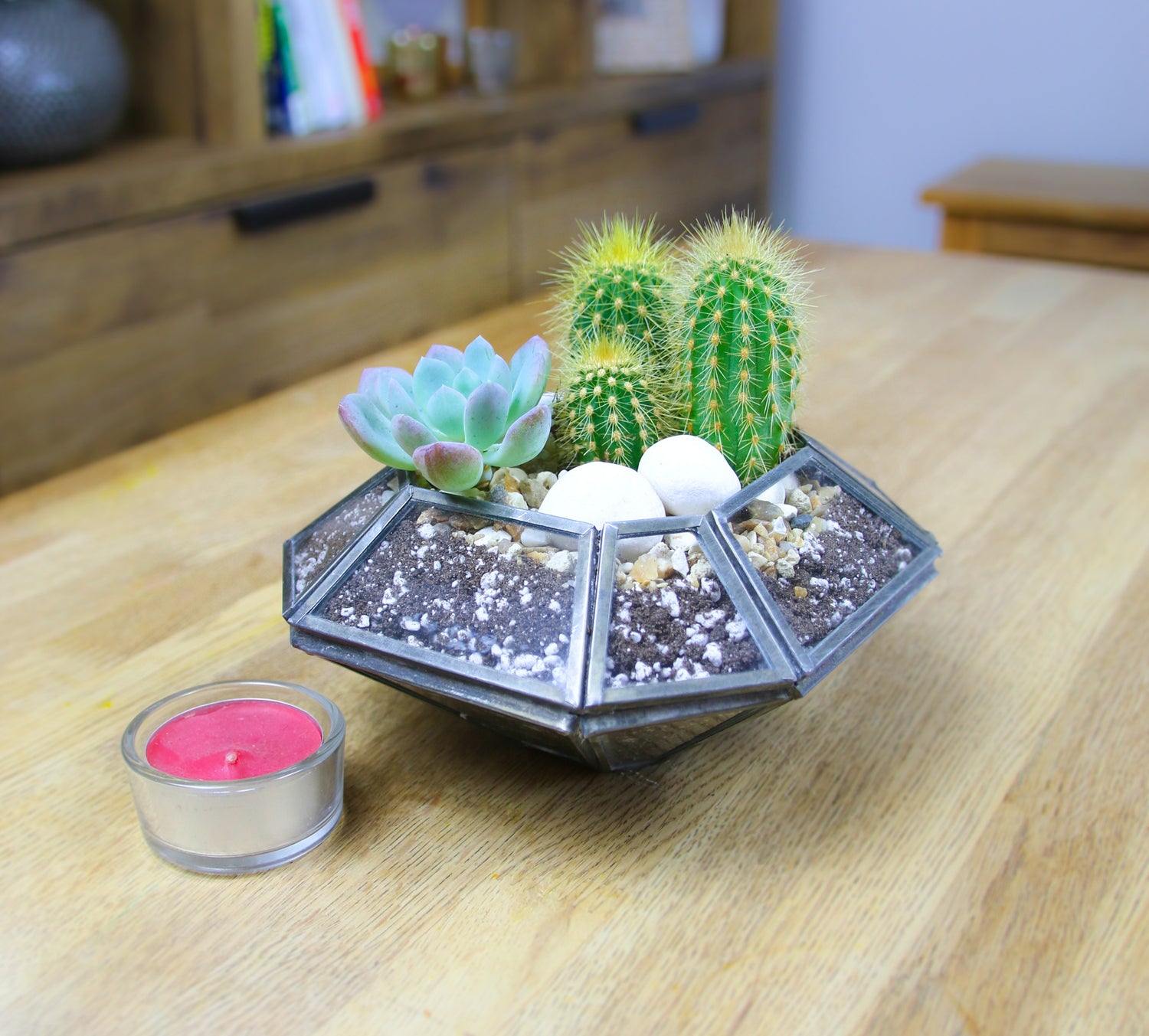 House plant container to buy onilne