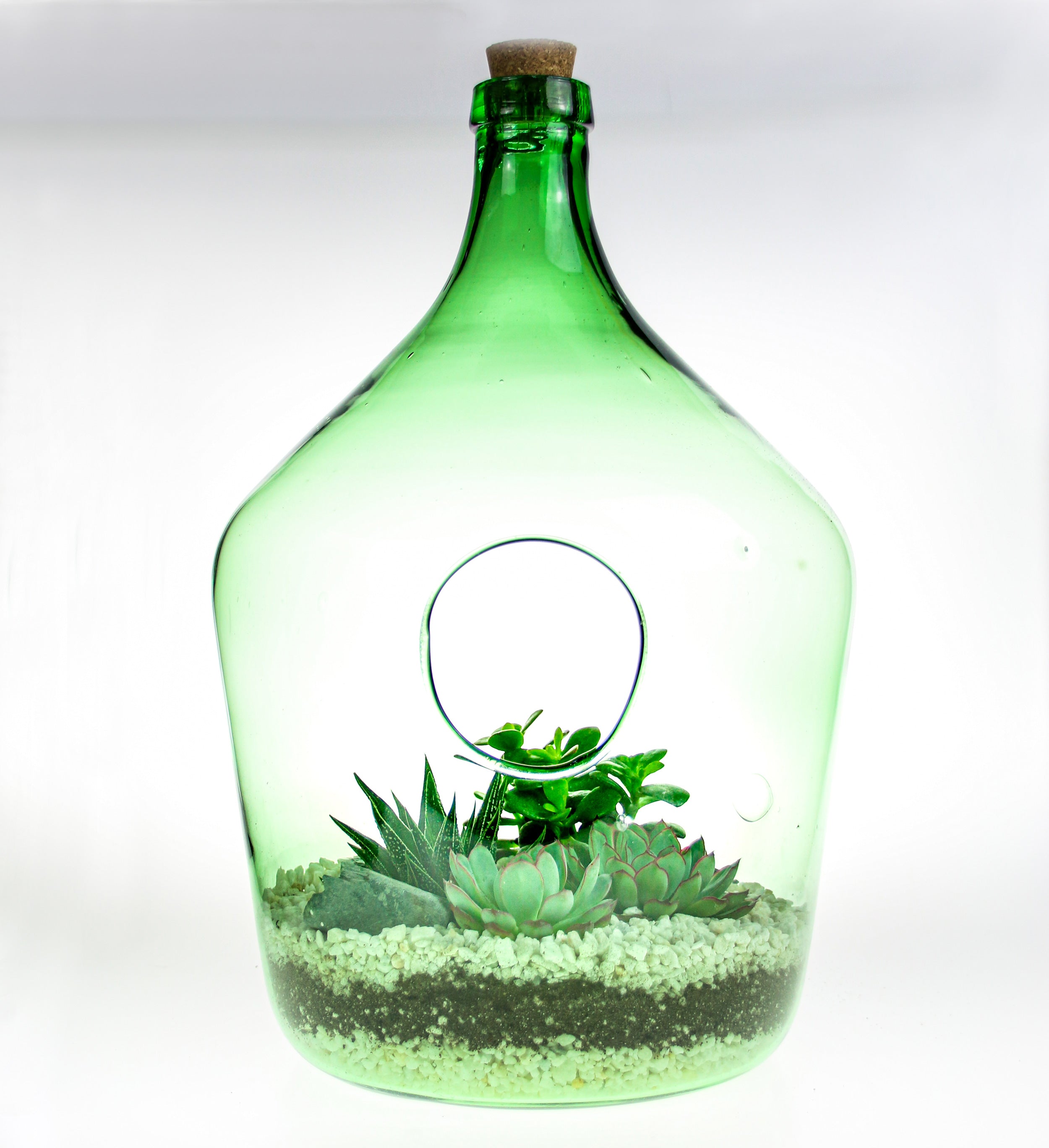 Home plant display gift ideas for Christmas