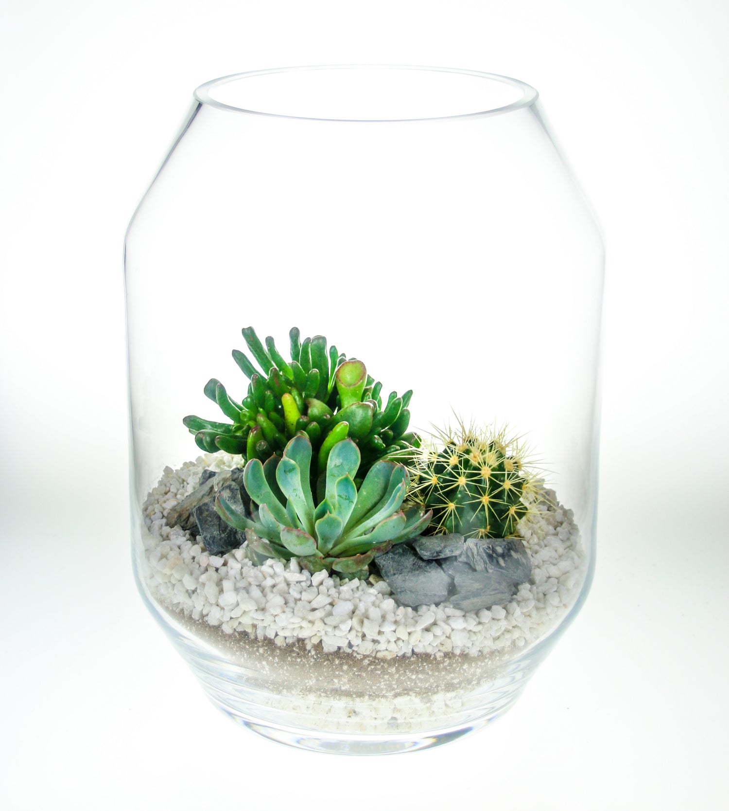 Glass terrarium kit to order online