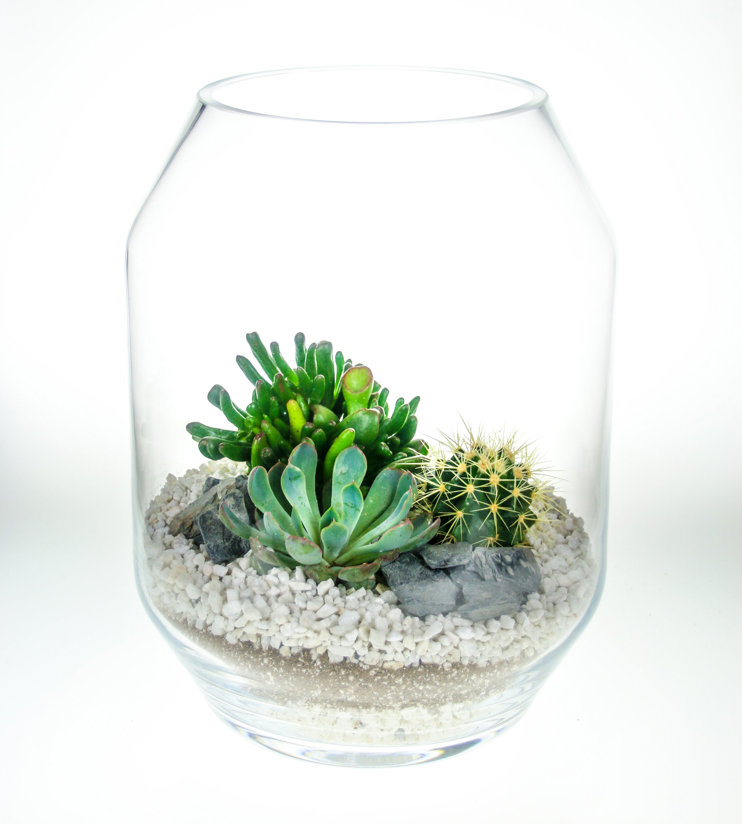 Glass terrarium kit to order online