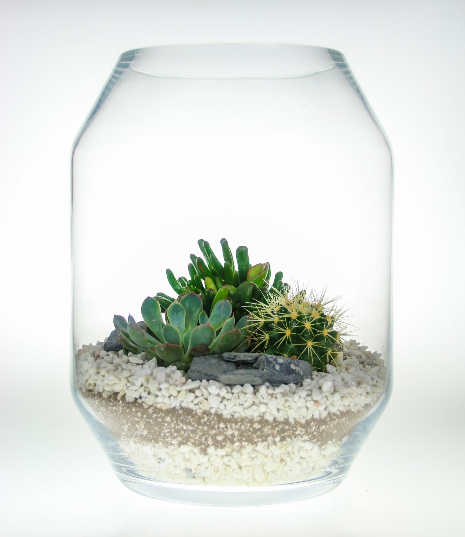 Christimas terrarium gift ideas