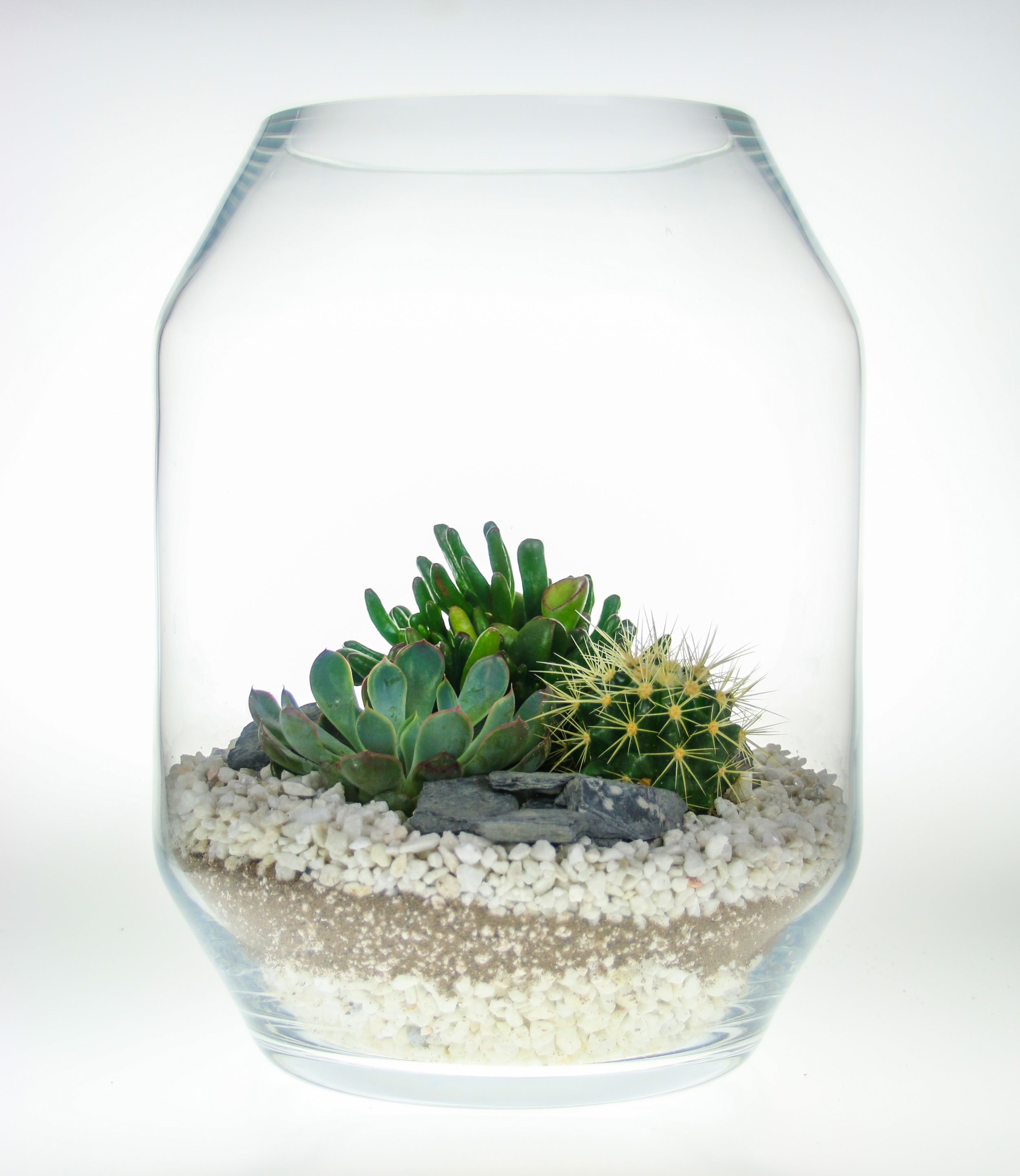 Christimas terrarium gift ideas
