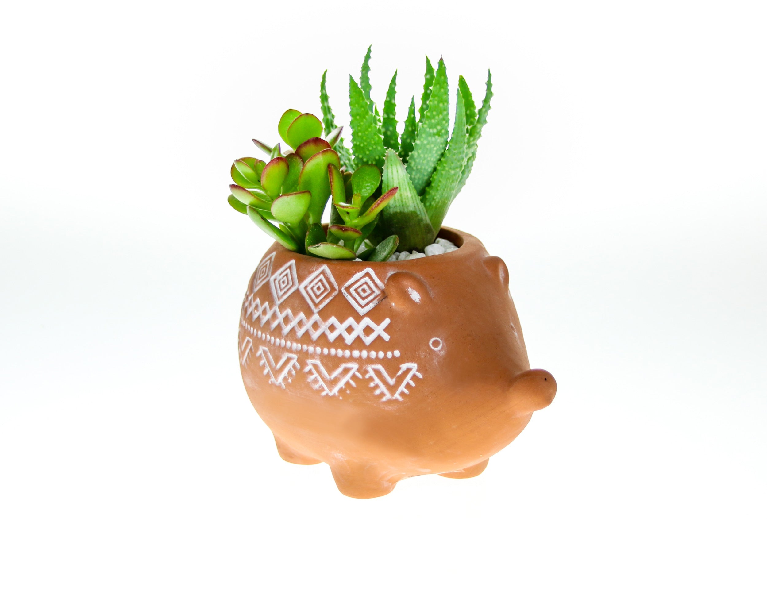 Indoor animal planter for children order online