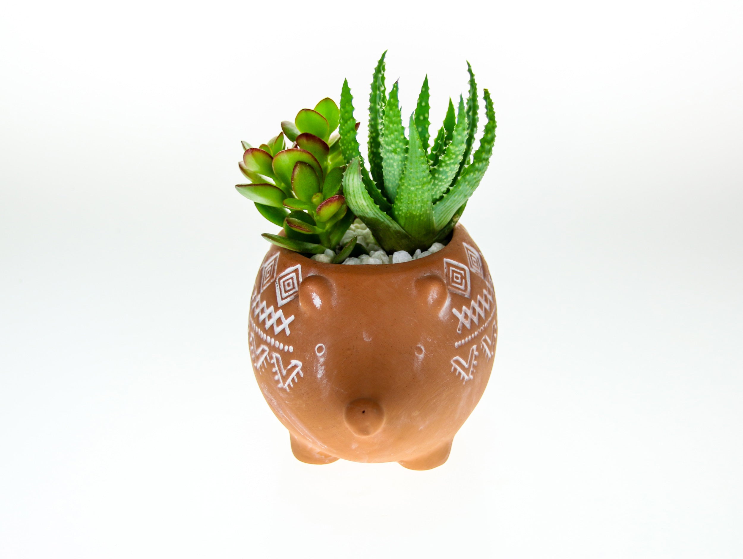 Indoor planter with plants gift ideas for UK delivery