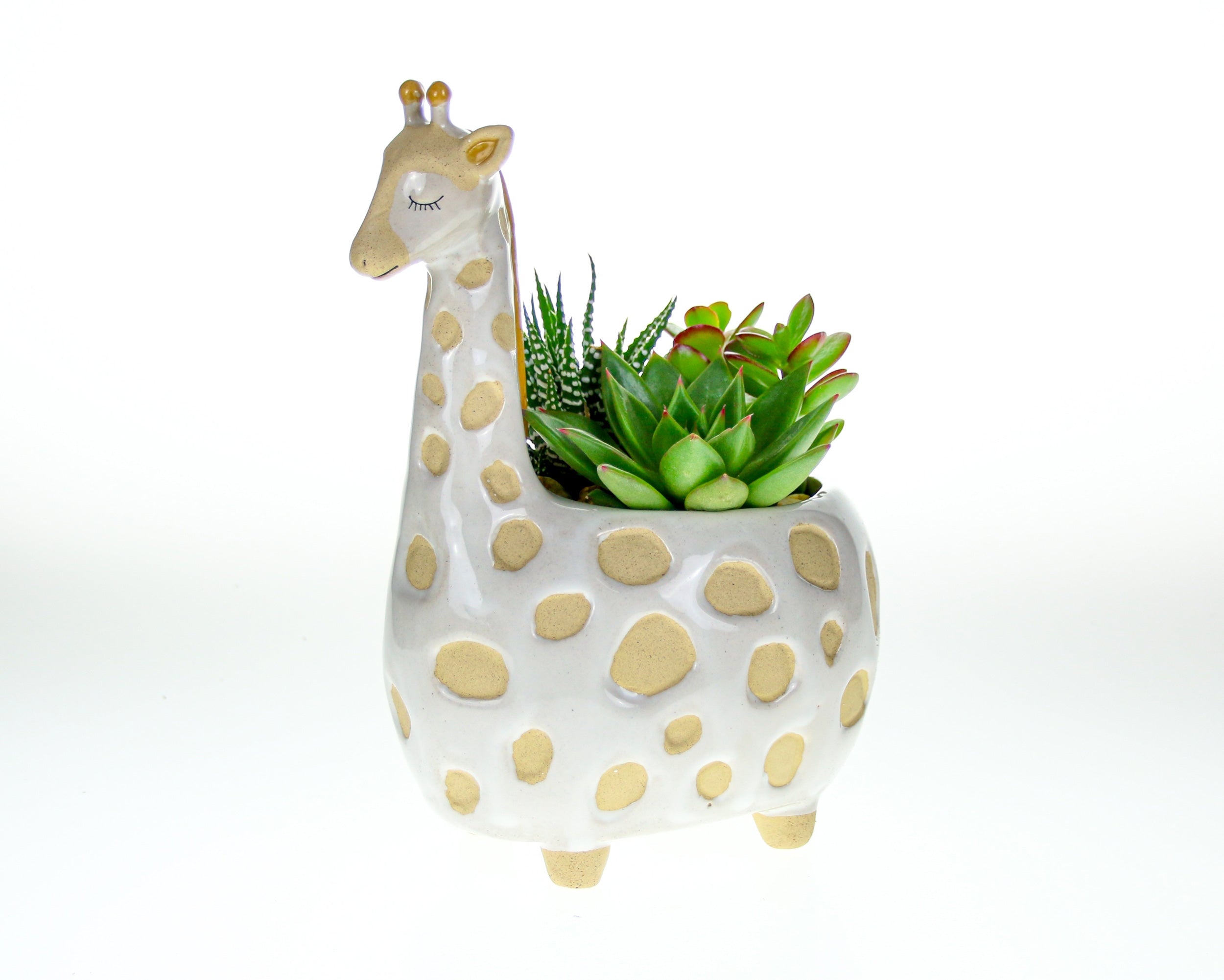 Indoor mini planter on legs with plants