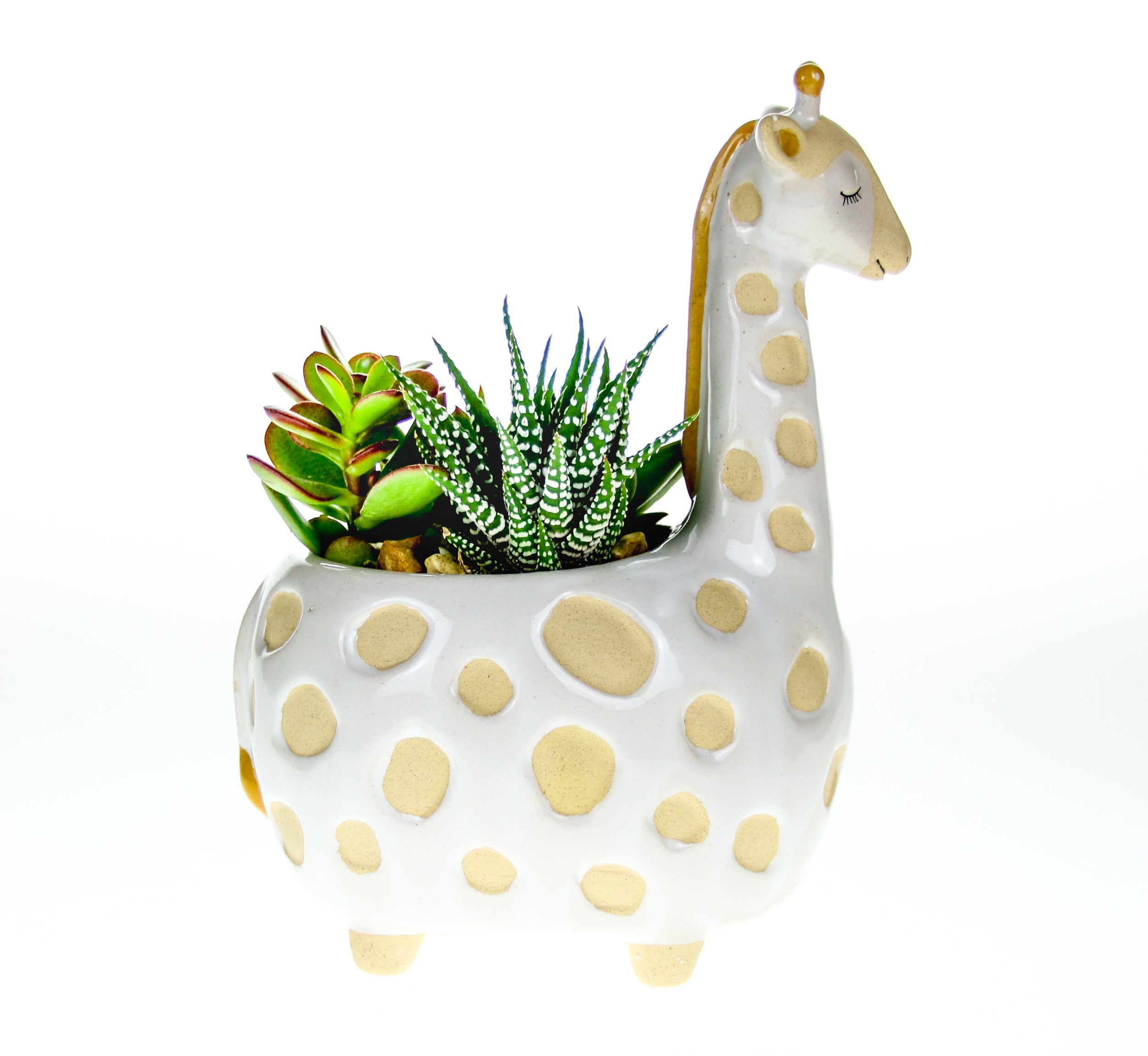 Mini indoor pot for plants