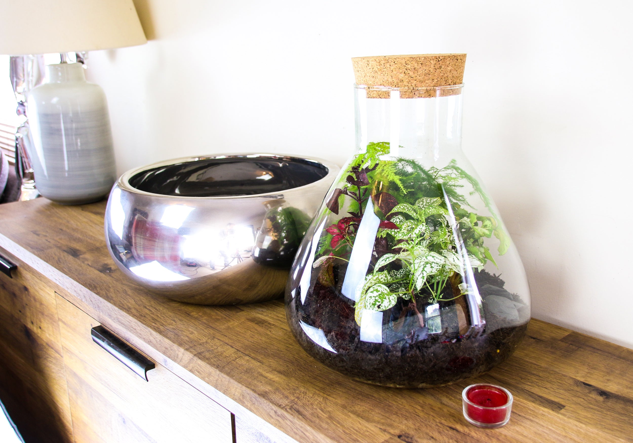 Interior home accessory gift ideas with living plants