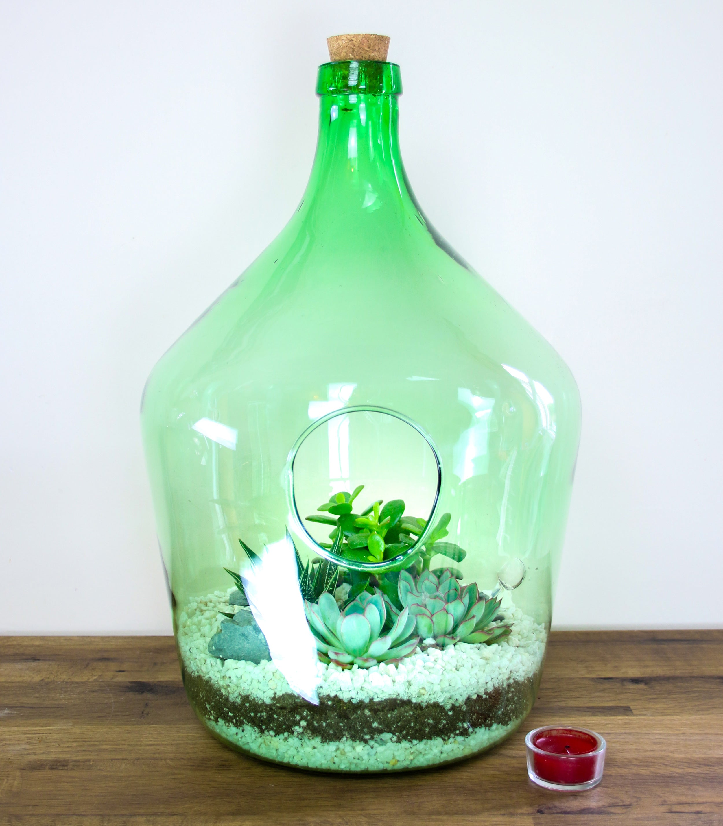 Terrarium bottle kit. Online ordering in the UK