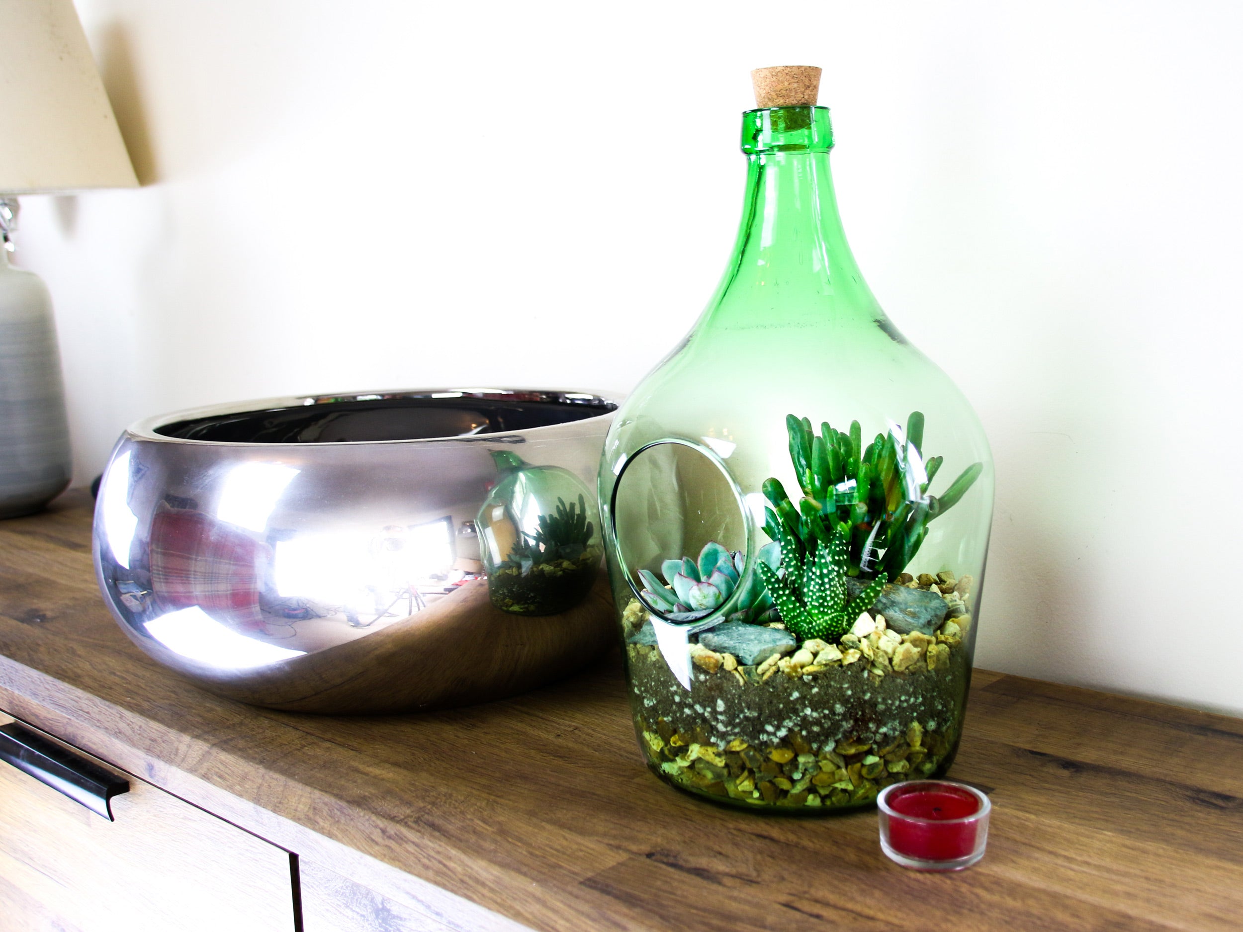 Birthday gift ideas with living plants