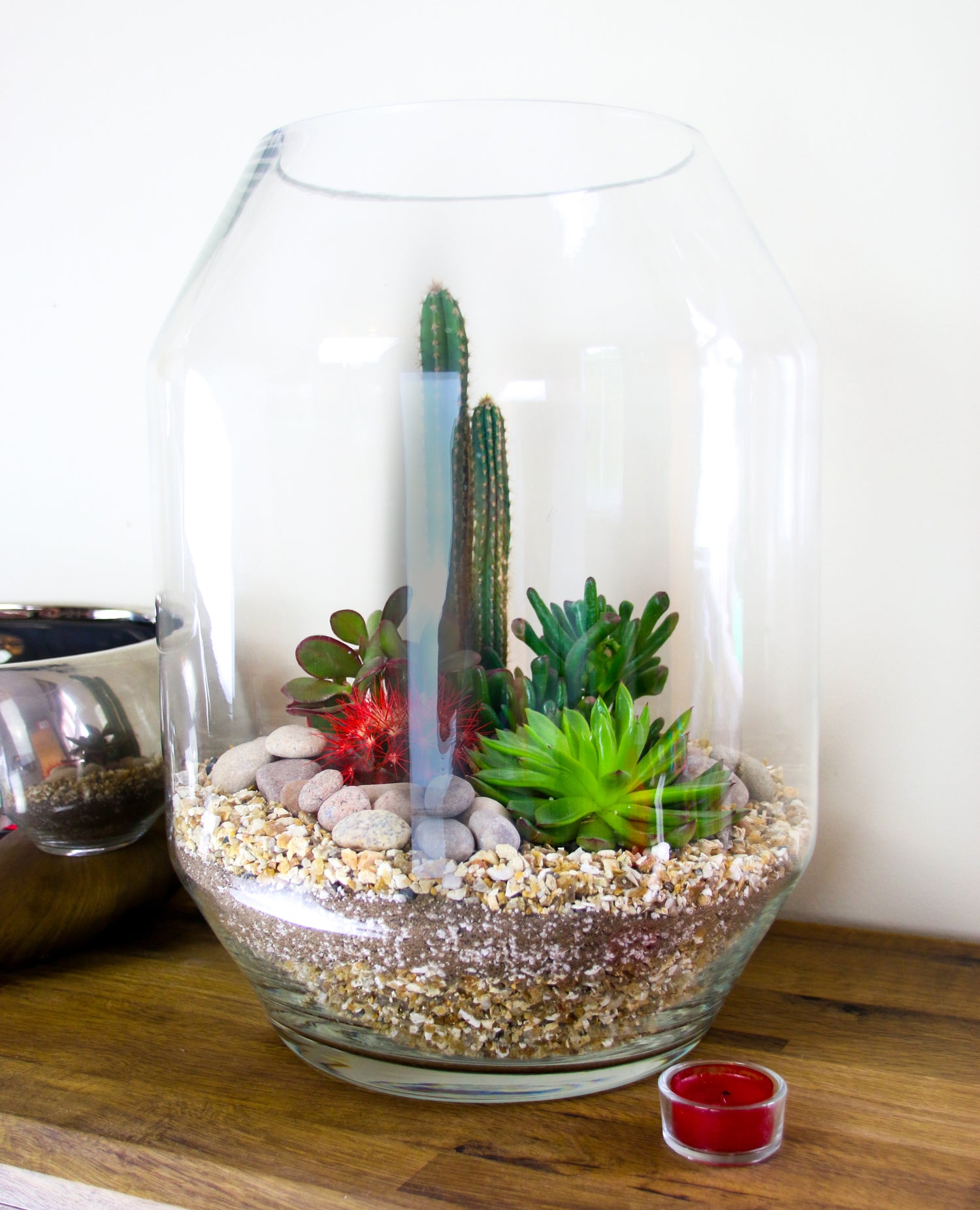 Plants for office spaces, order online