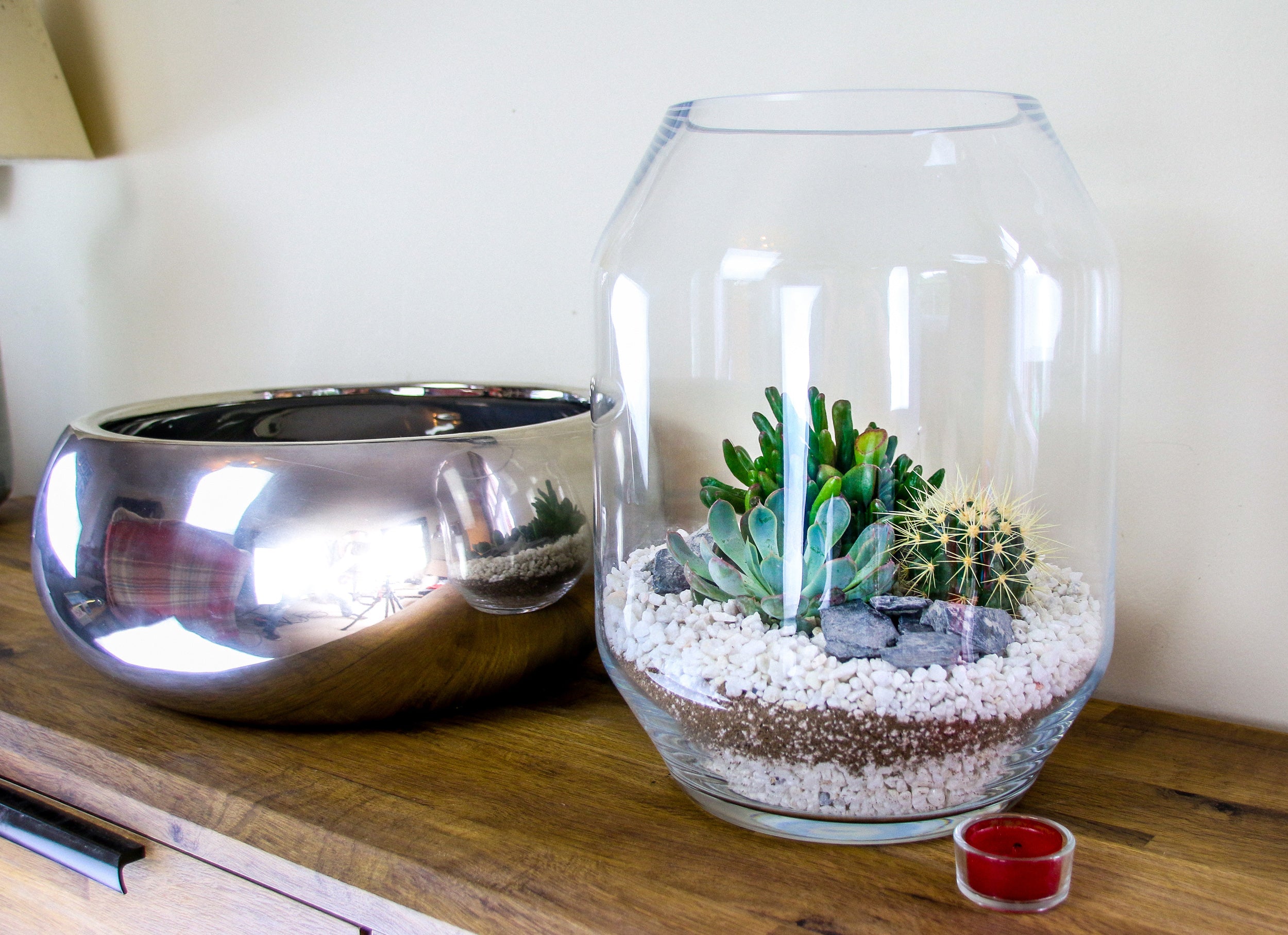 Gift ideas with living house plants