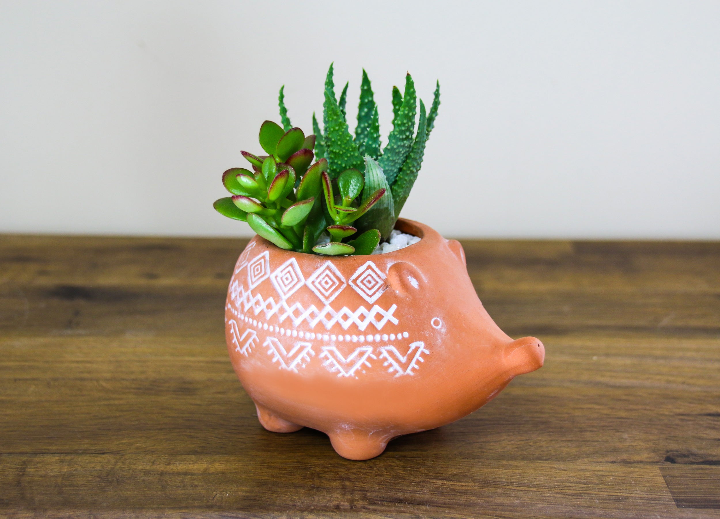 Mini Terracotta Hedgehog Planter with Succulent Houseplants