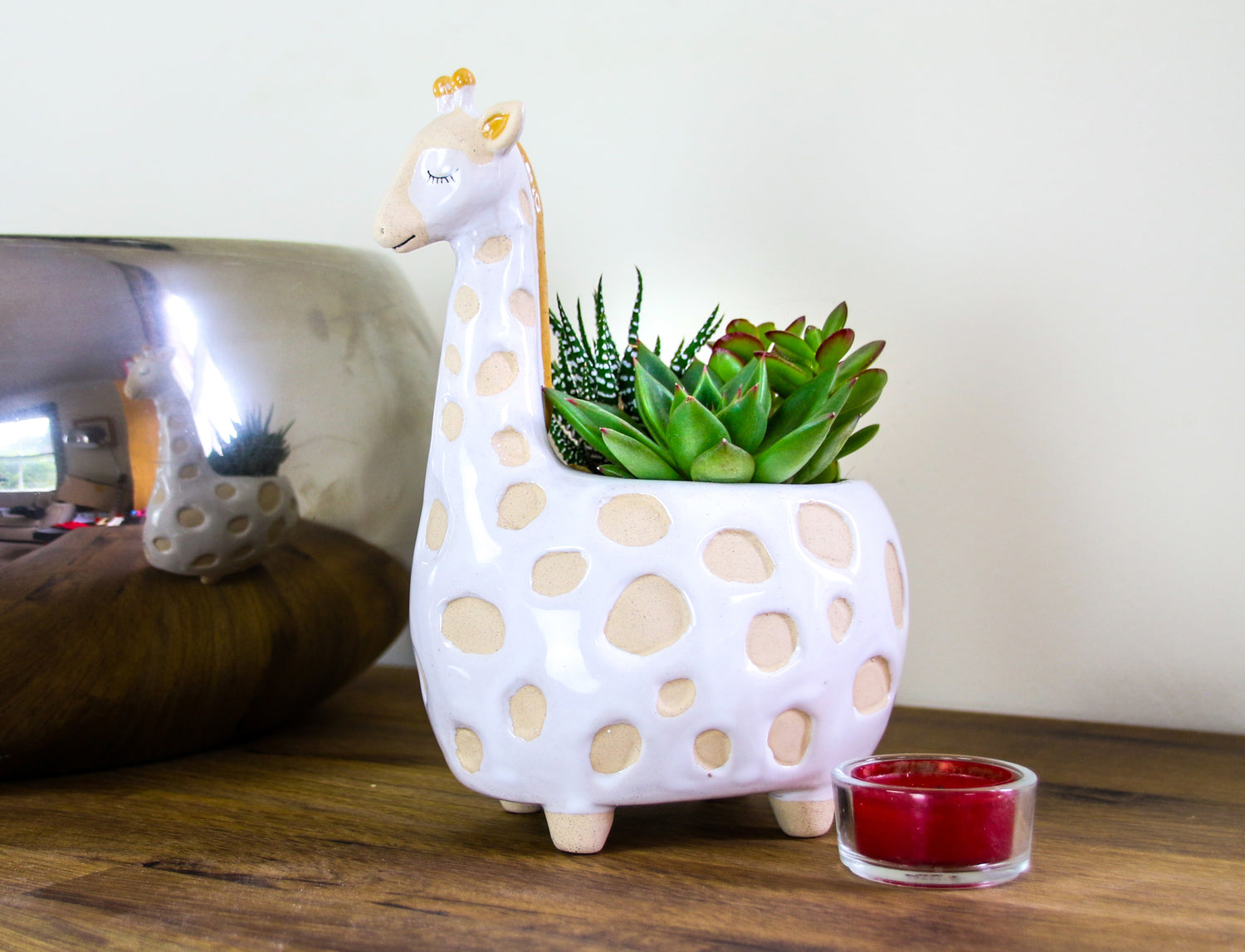 Gift ideas with real plants