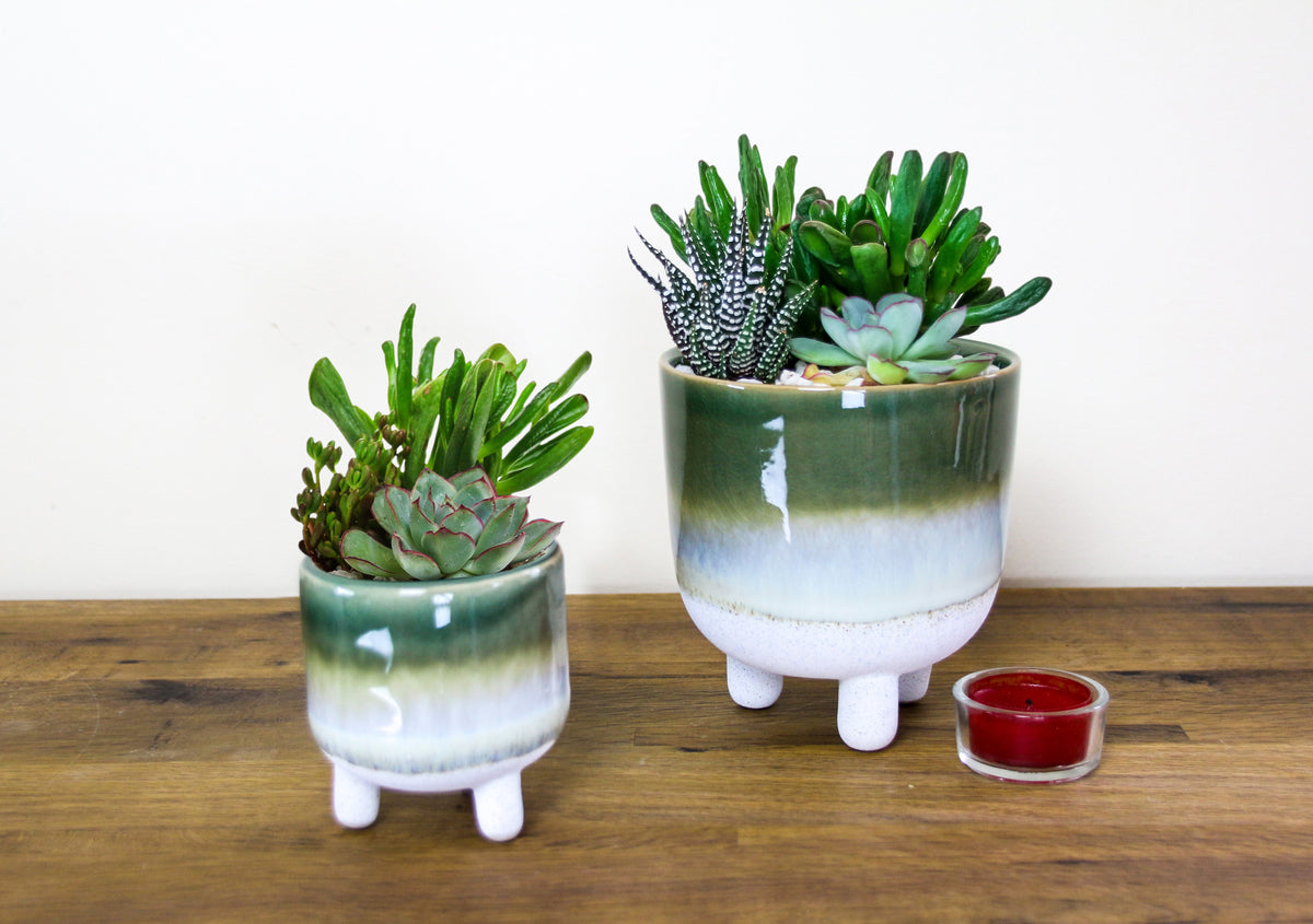 Indoor planters with plants to deliver by post