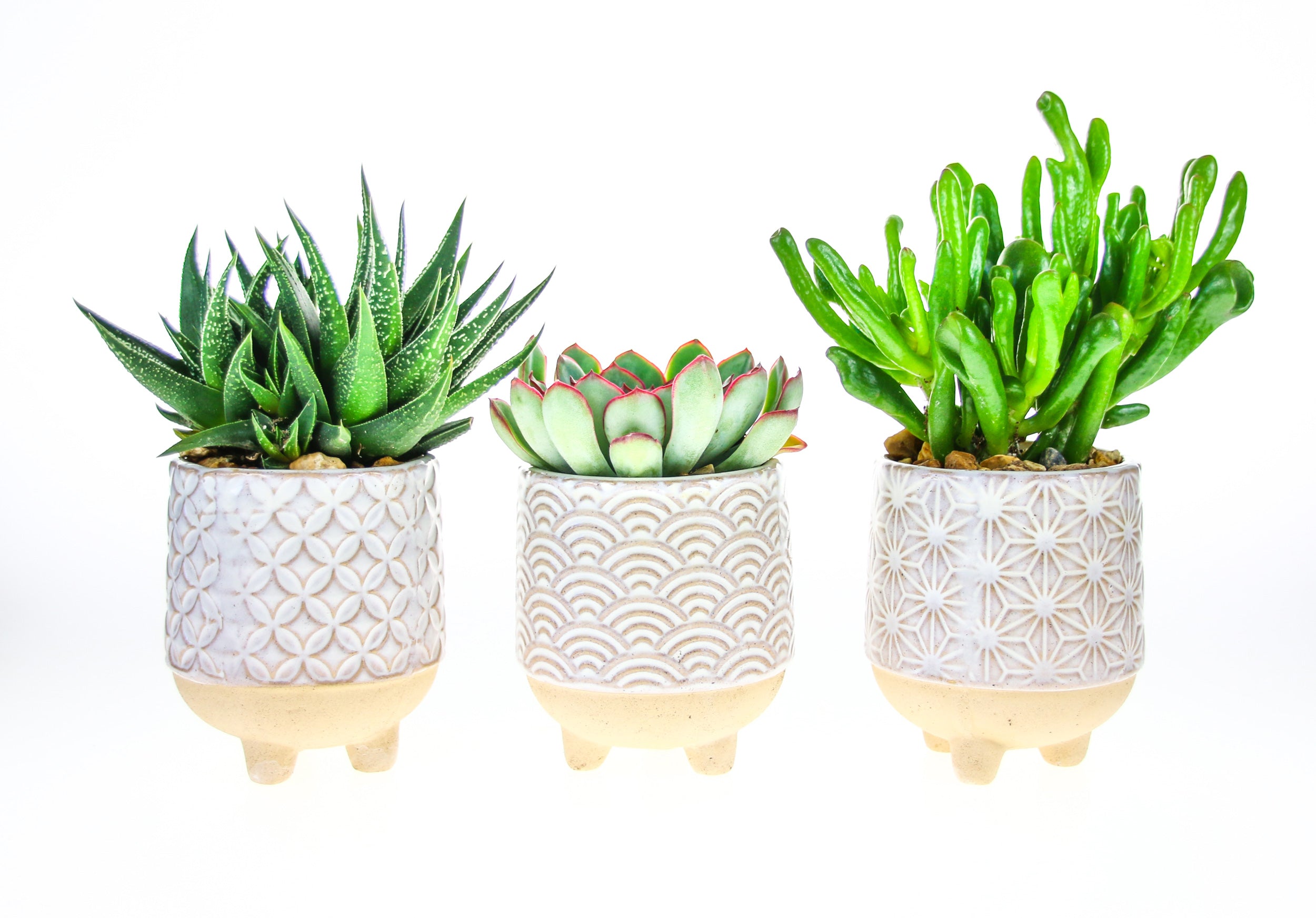 Japanese inspired planters with legs