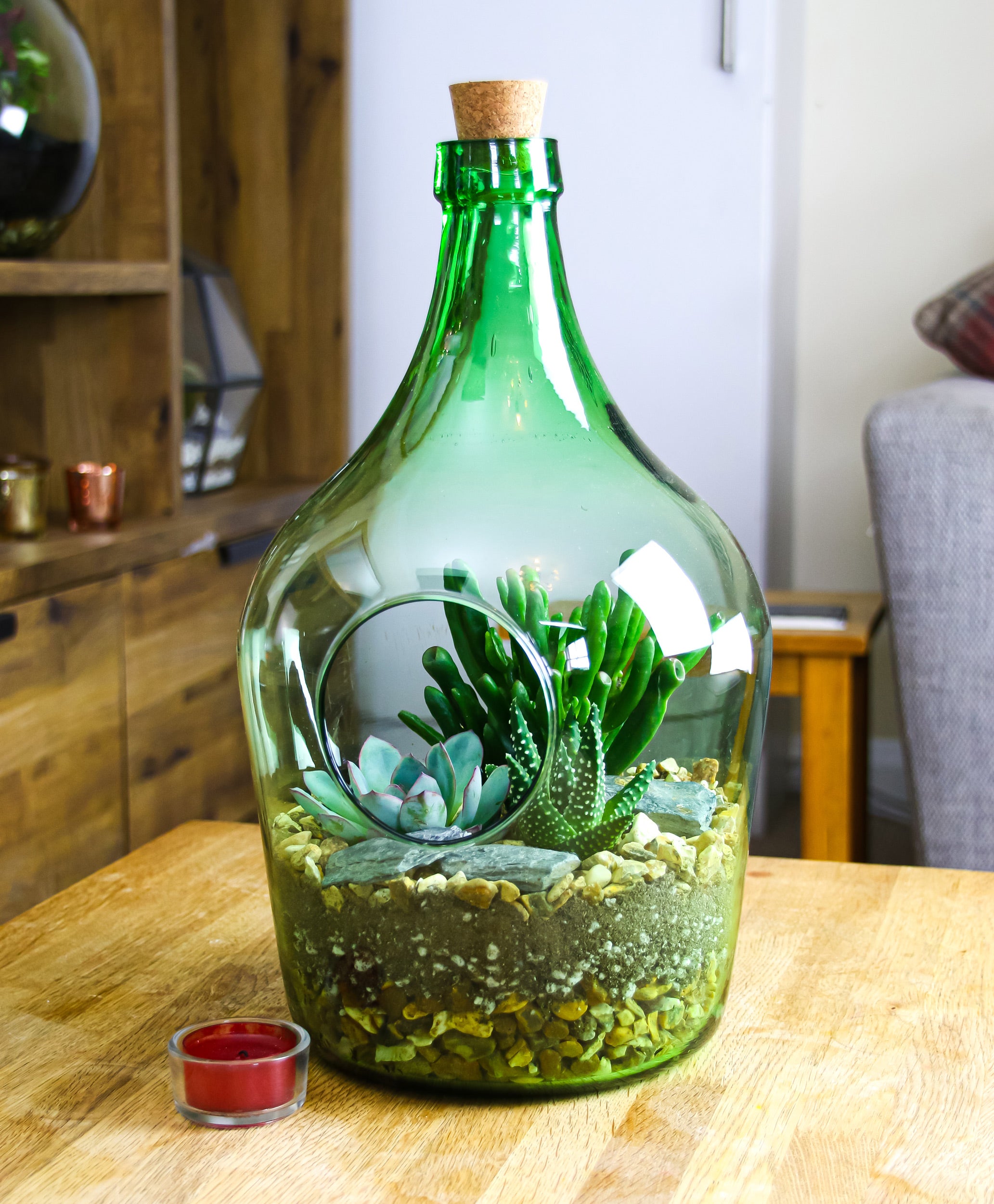 Birthday gift ideas for the home with real indoor plants